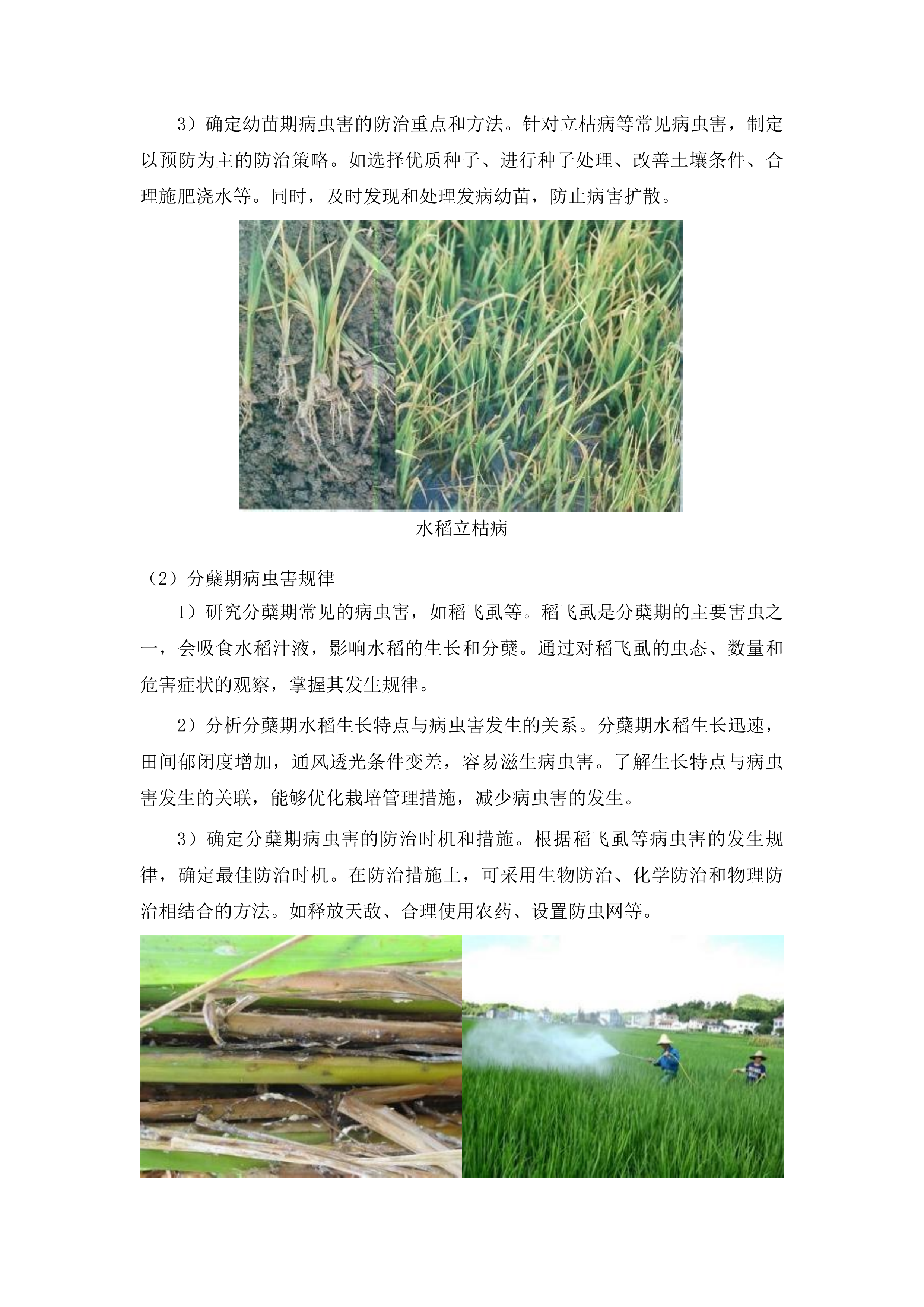 舒兰市农业技术推广中心关于水稻病虫害飞防作业试验试点项目投标方案.docx 第11页