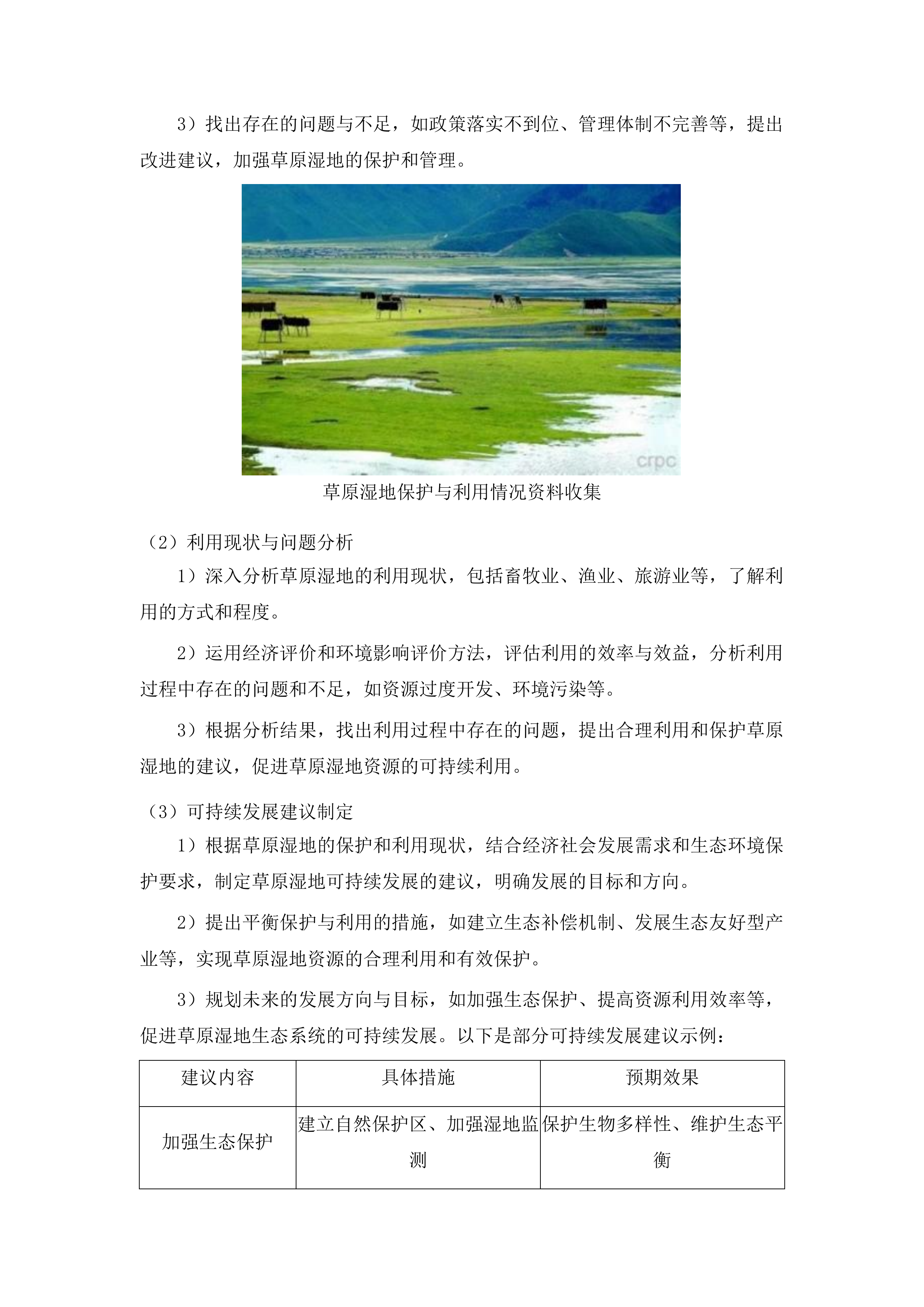 东辽县全民所有自然资源资产清查工作投标方案.docx 第13页