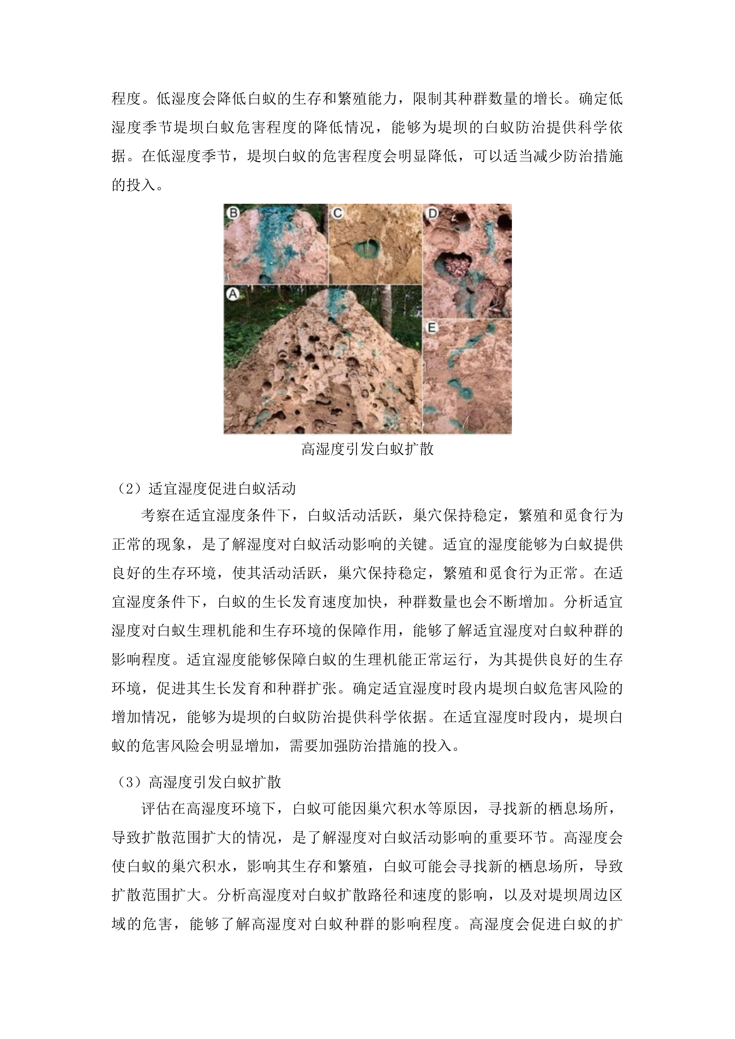 磐石市害堤动物防治项目投标方案.docx 第15页