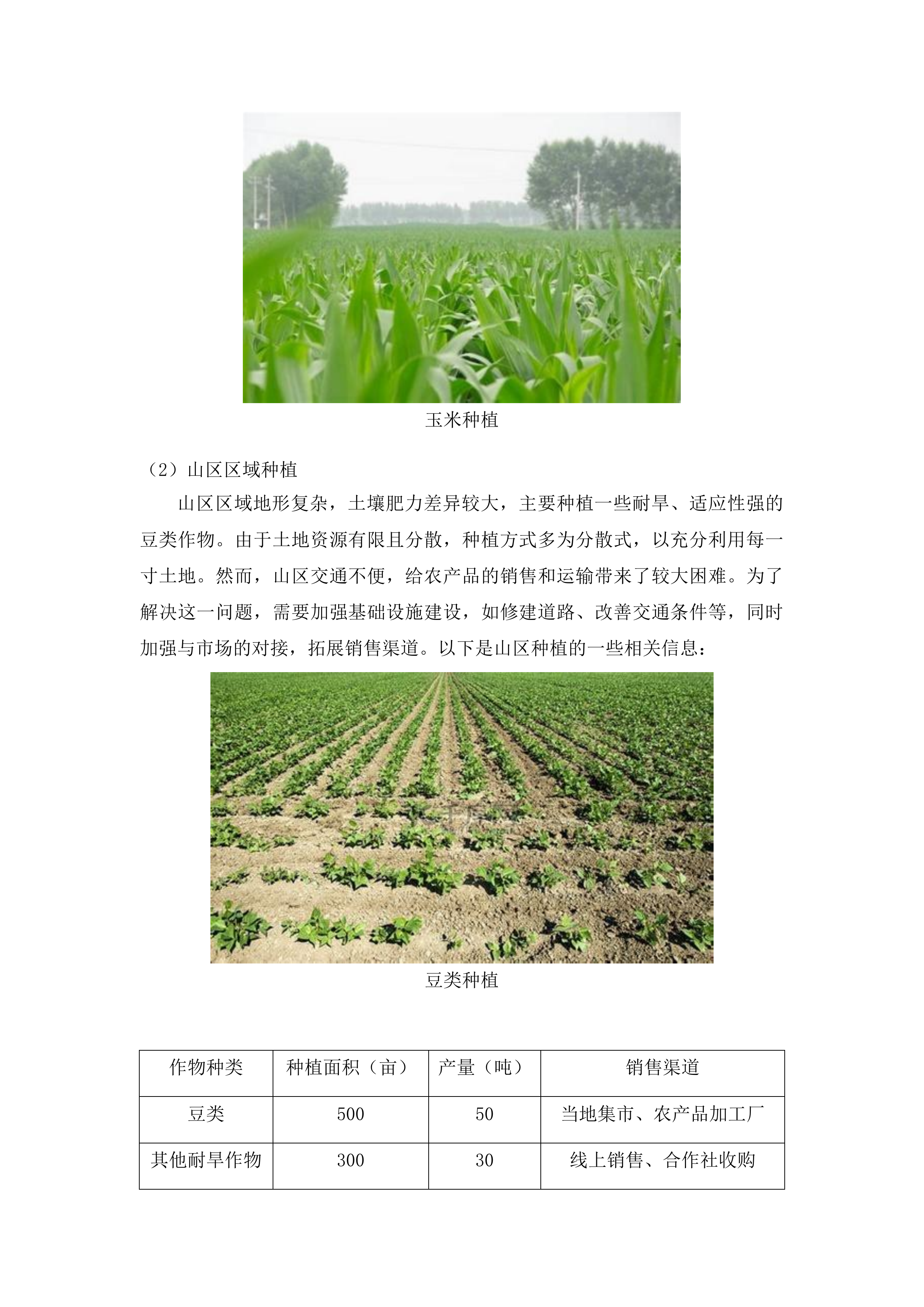 扶余市粮油等重点作物绿色高产高效行动“一喷多促”飞防服务项目投标方案.docx 第7页