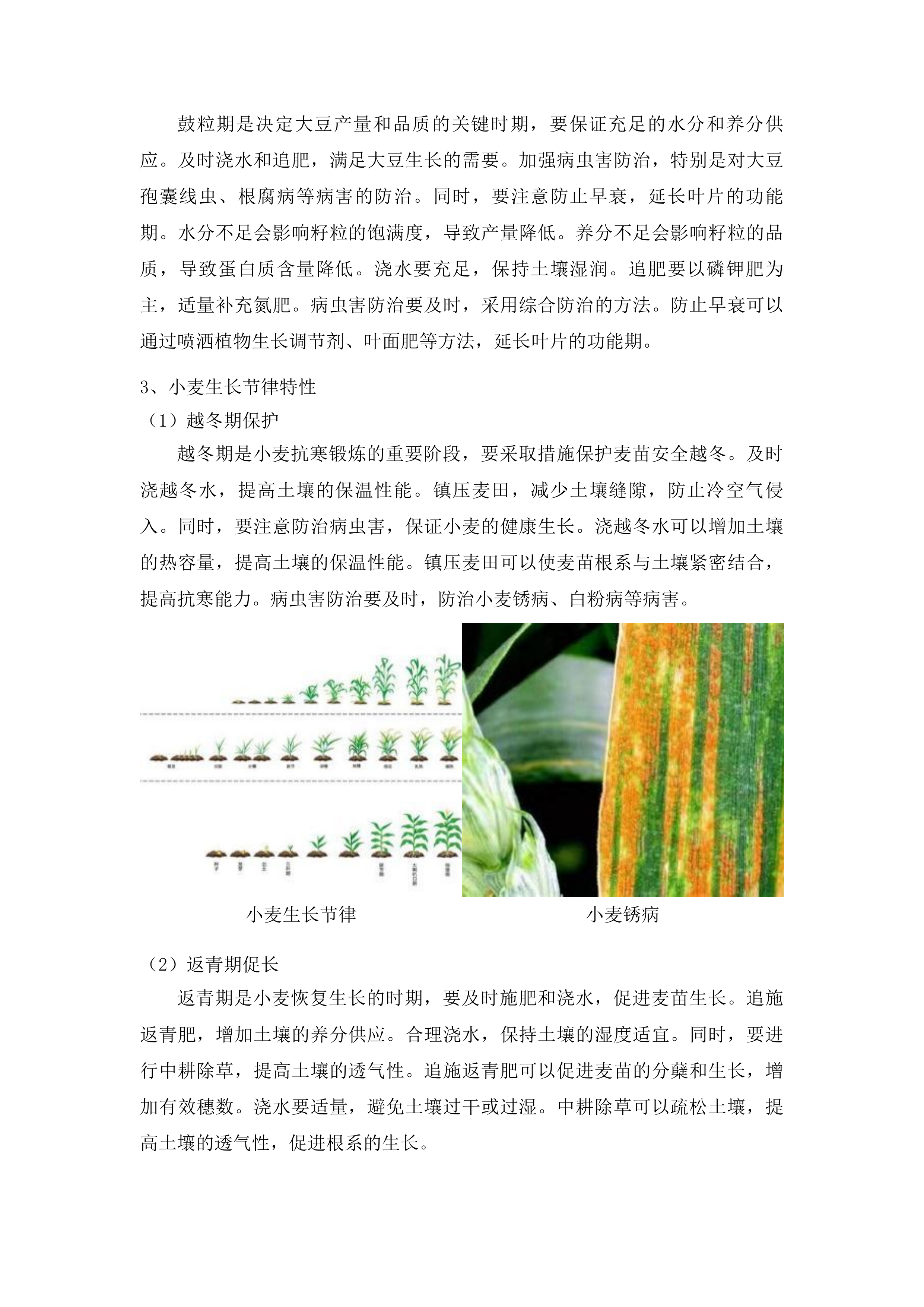 扶余市粮油等重点作物绿色高产高效行动“一喷多促”飞防服务项目投标方案.docx 第14页