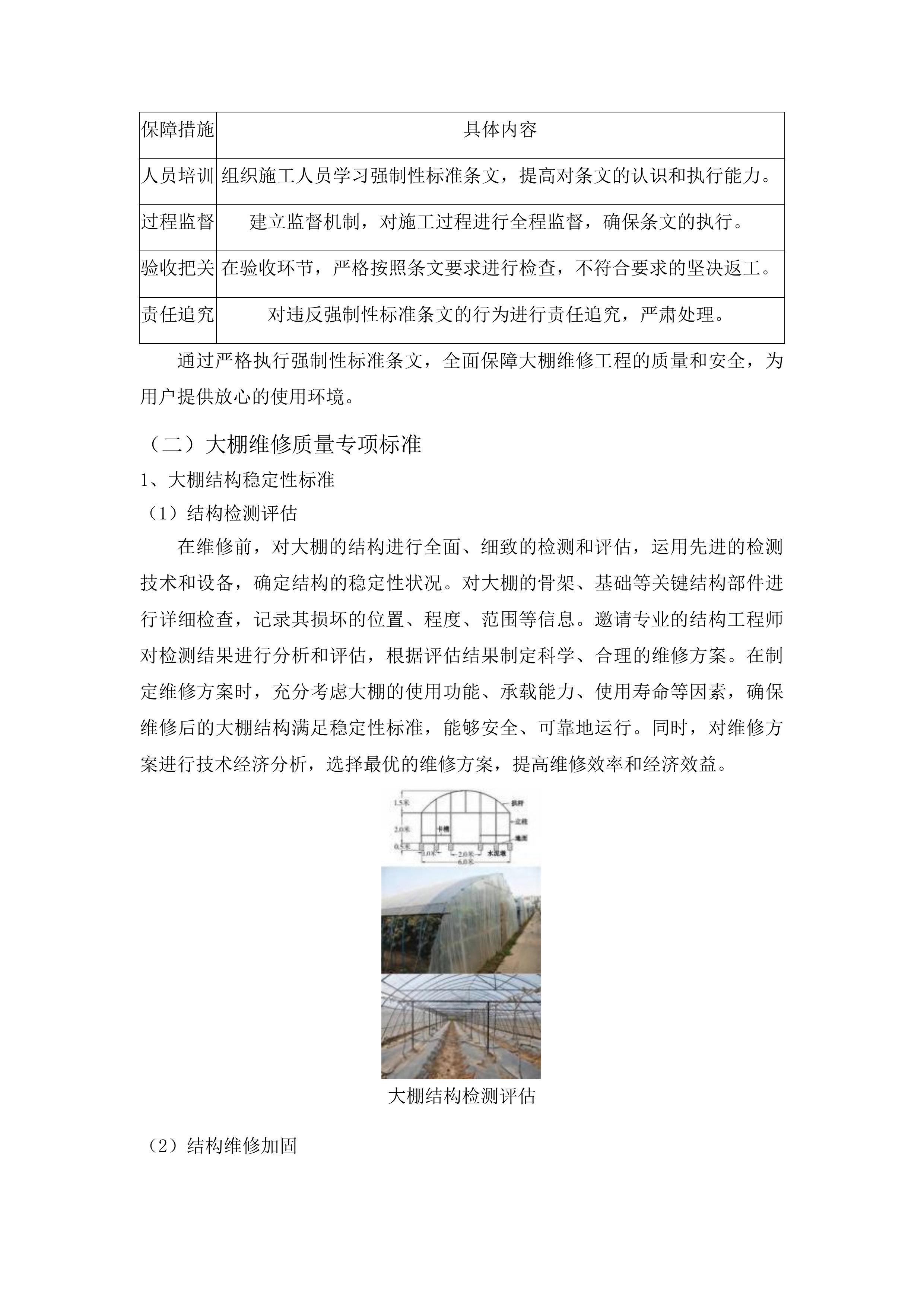 浑江区七道江镇大棚维修项目投标方案.docx 第9页