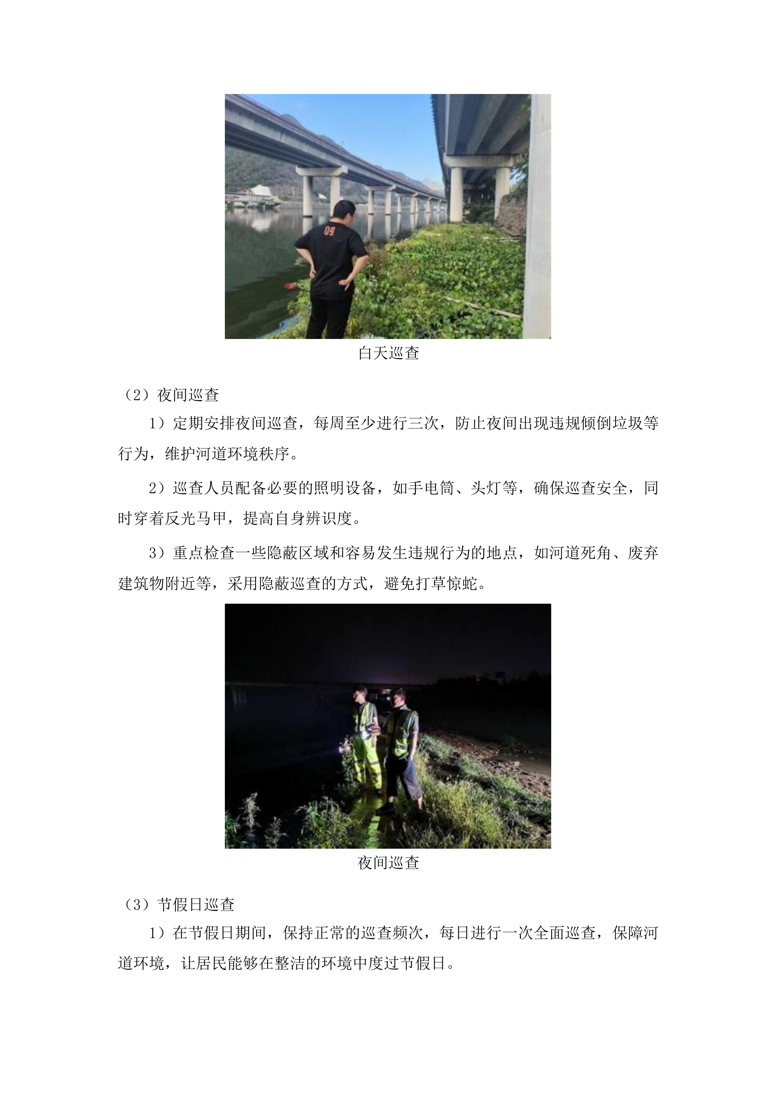 伊通河奋进乡段蓝桩区域内清理管护工作投标方案.docx 第10页