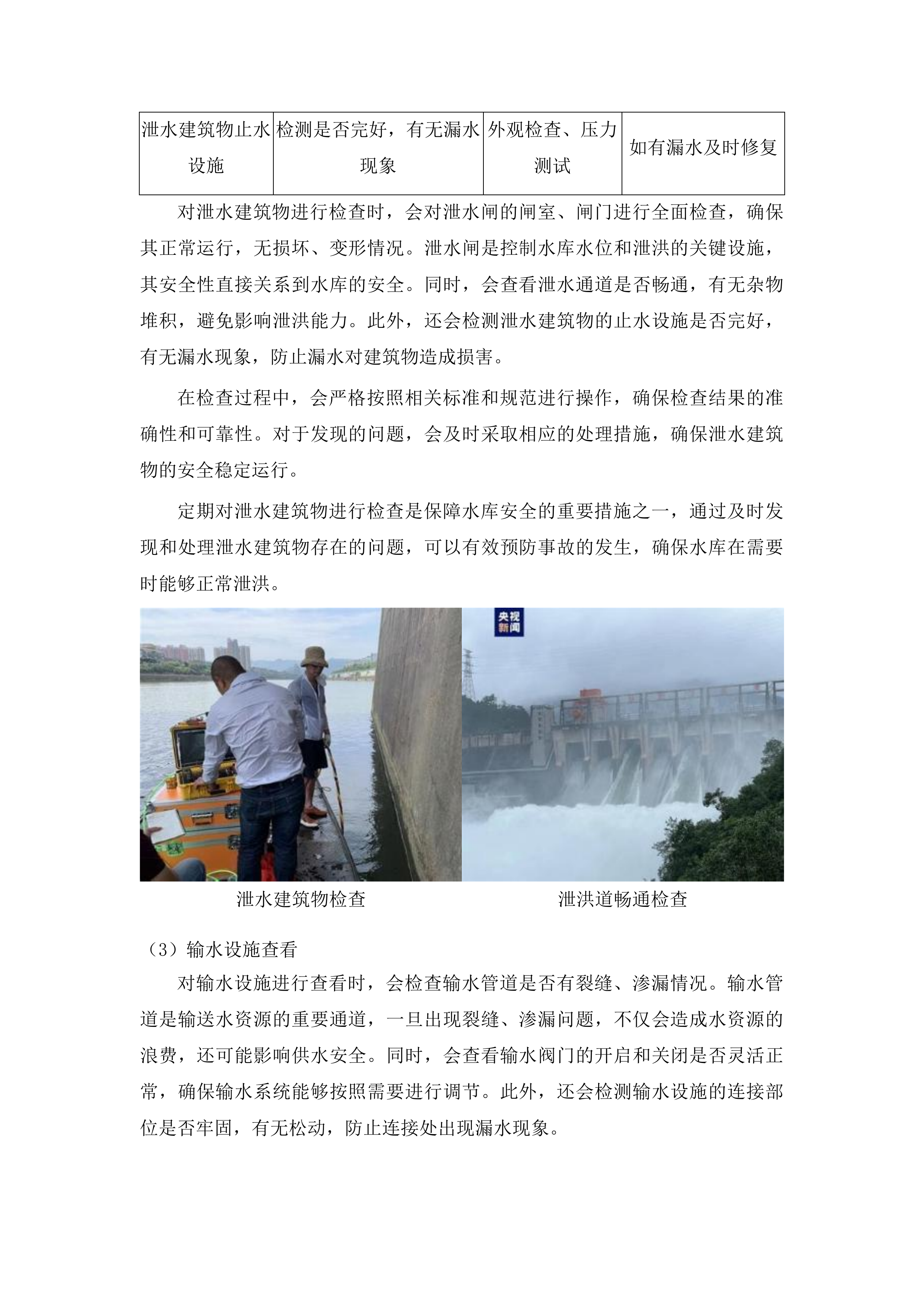 伊通满族自治县2025年度小型水库社会化维修养护服务项目投标方案.docx 第7页