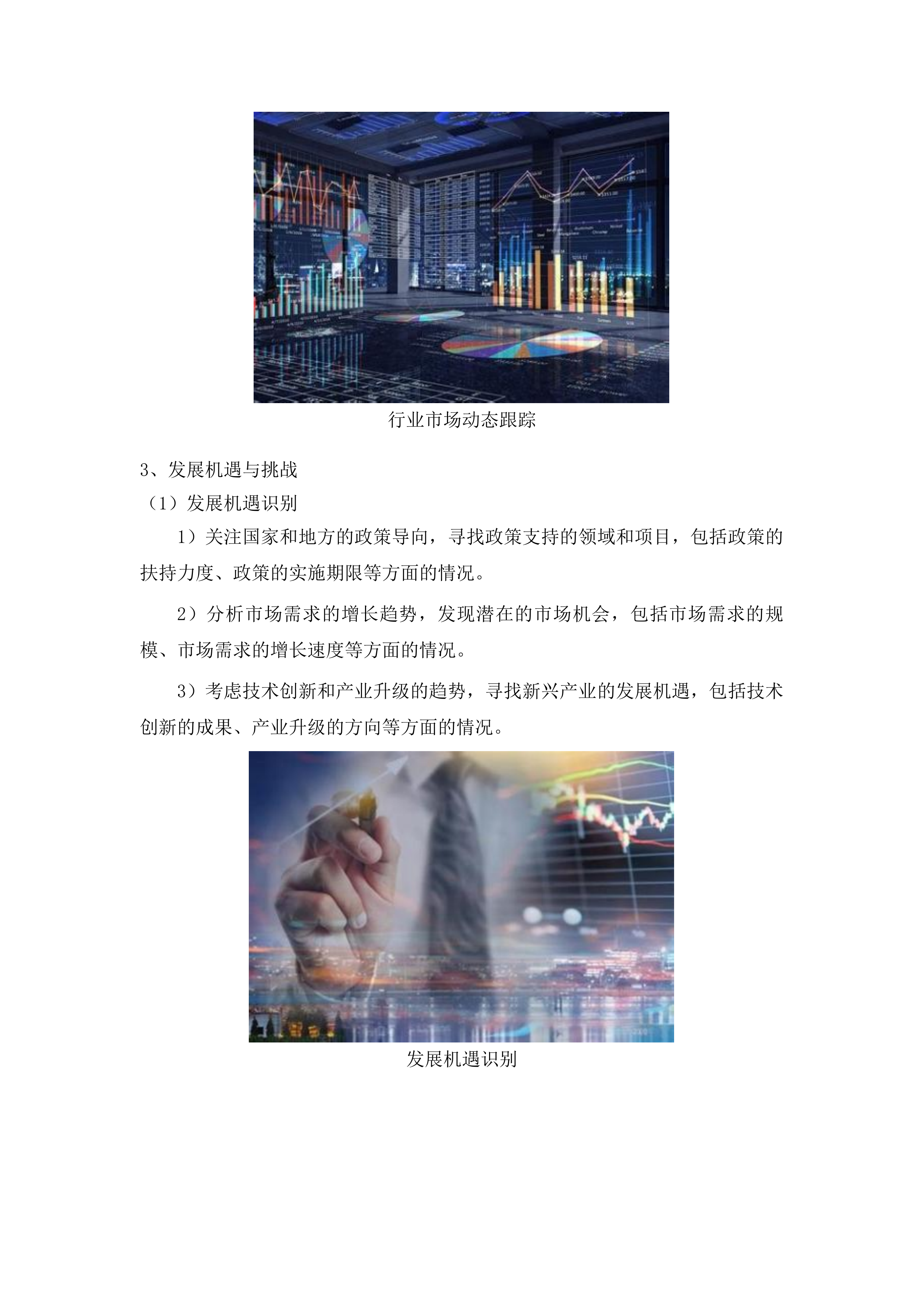 伊通满族自治县十五五规划采购项目投标方案.docx 第10页