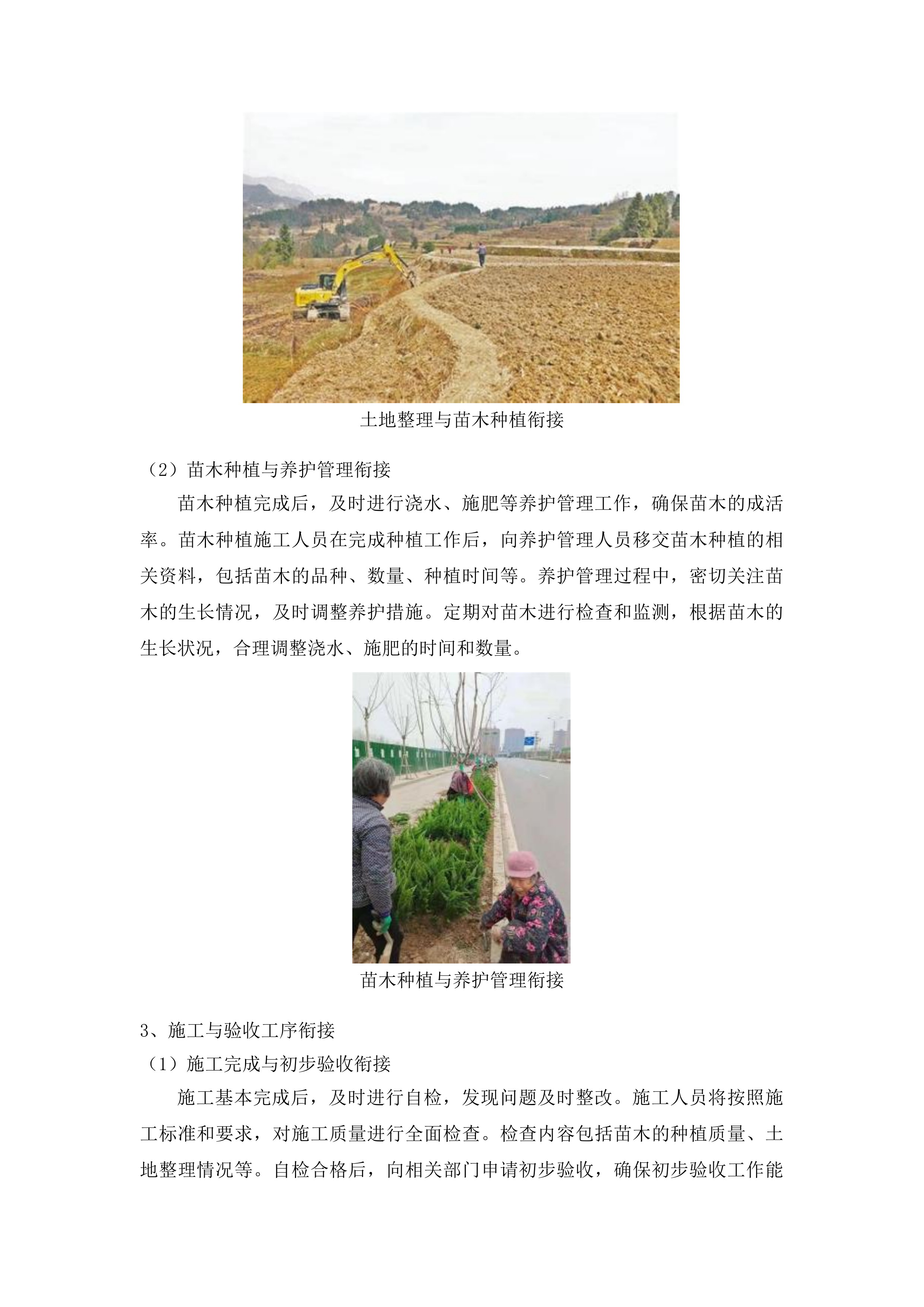 伊通满族自治县黄岭子国有林场红松果林培育建设项目投标方案.docx 第12页