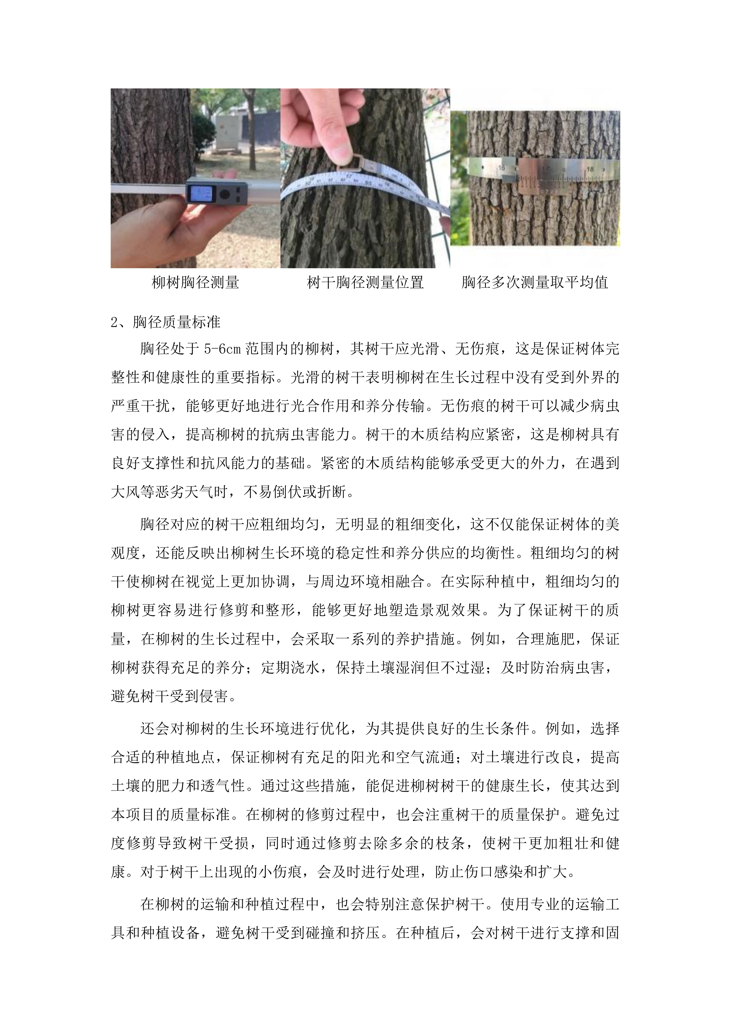 双辽市中型水库缓冲带生态保护修复项目(二期)草坪、芦苇、柳树等种植及养护服务项目投标方案.docx 第9页