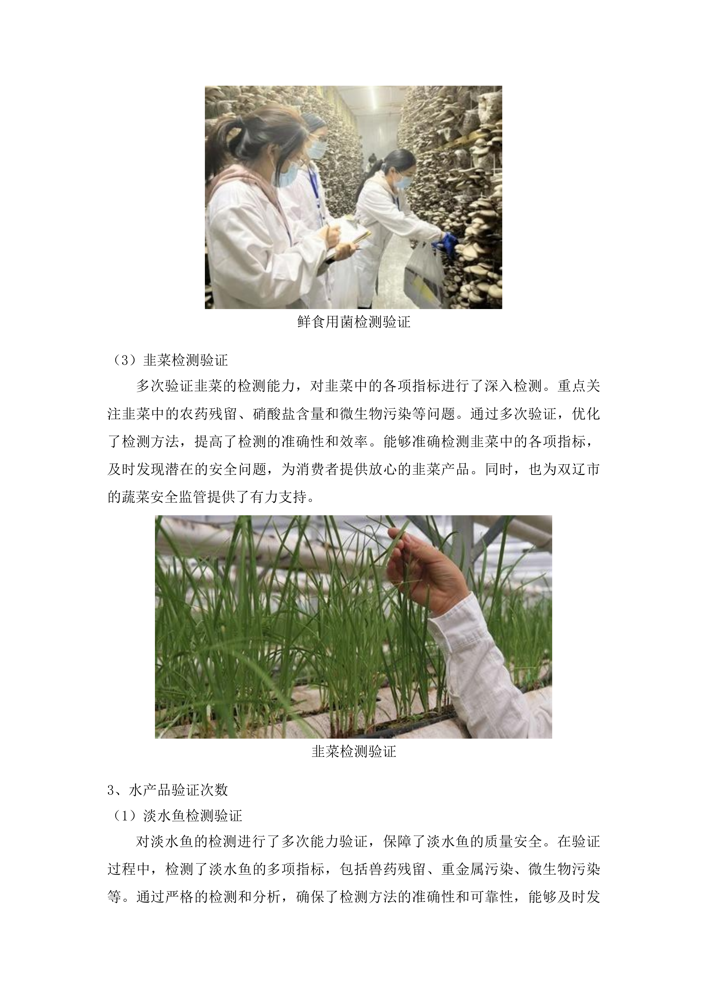 双辽市宏正工程项目管理有限公司服务类竞争性磋商投标方案.docx 第13页