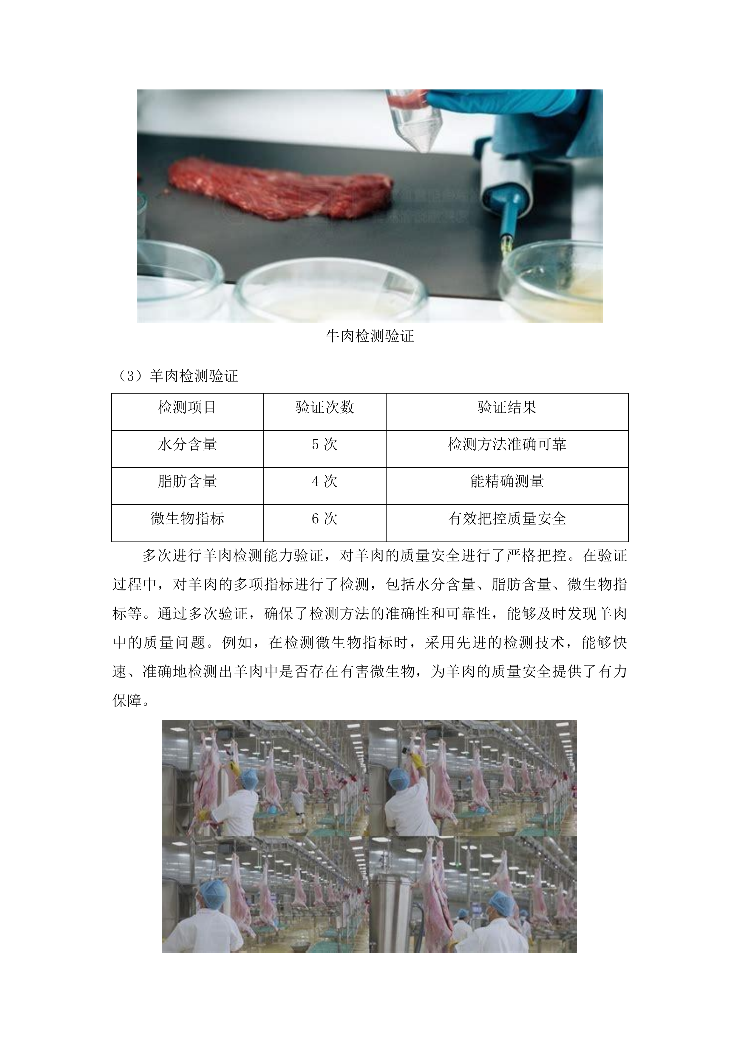双辽市宏正工程项目管理有限公司服务类竞争性磋商投标方案.docx 第11页