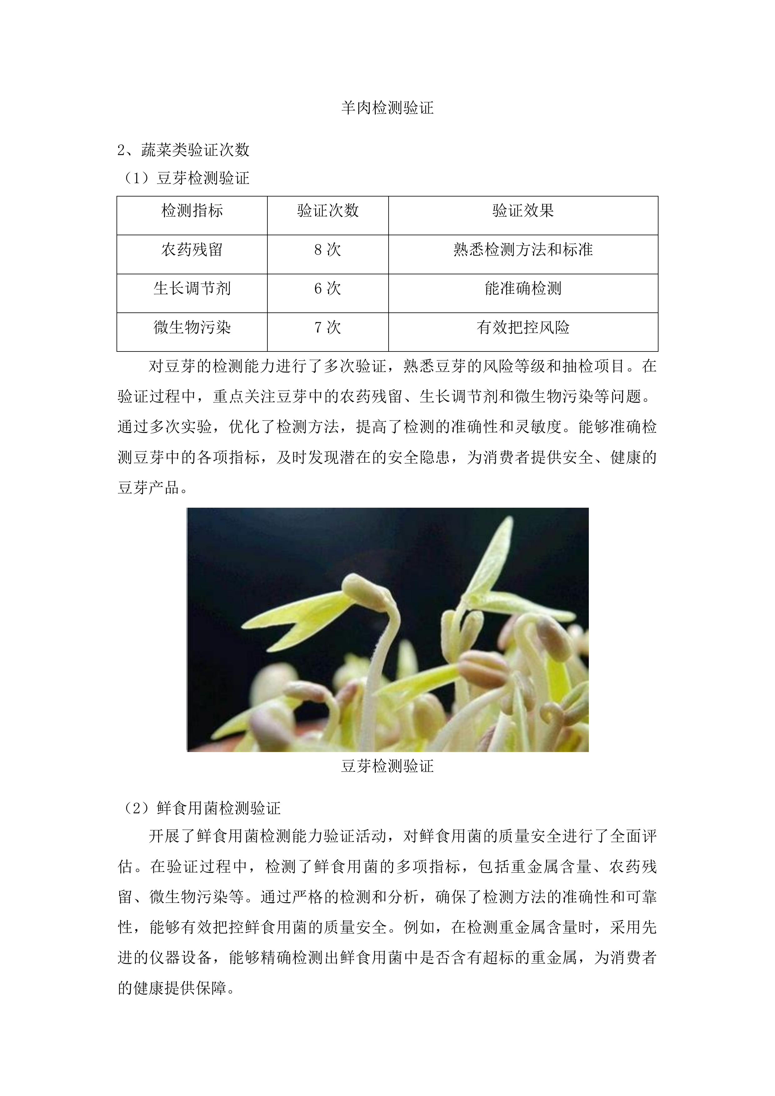 双辽市宏正工程项目管理有限公司服务类竞争性磋商投标方案.docx 第12页