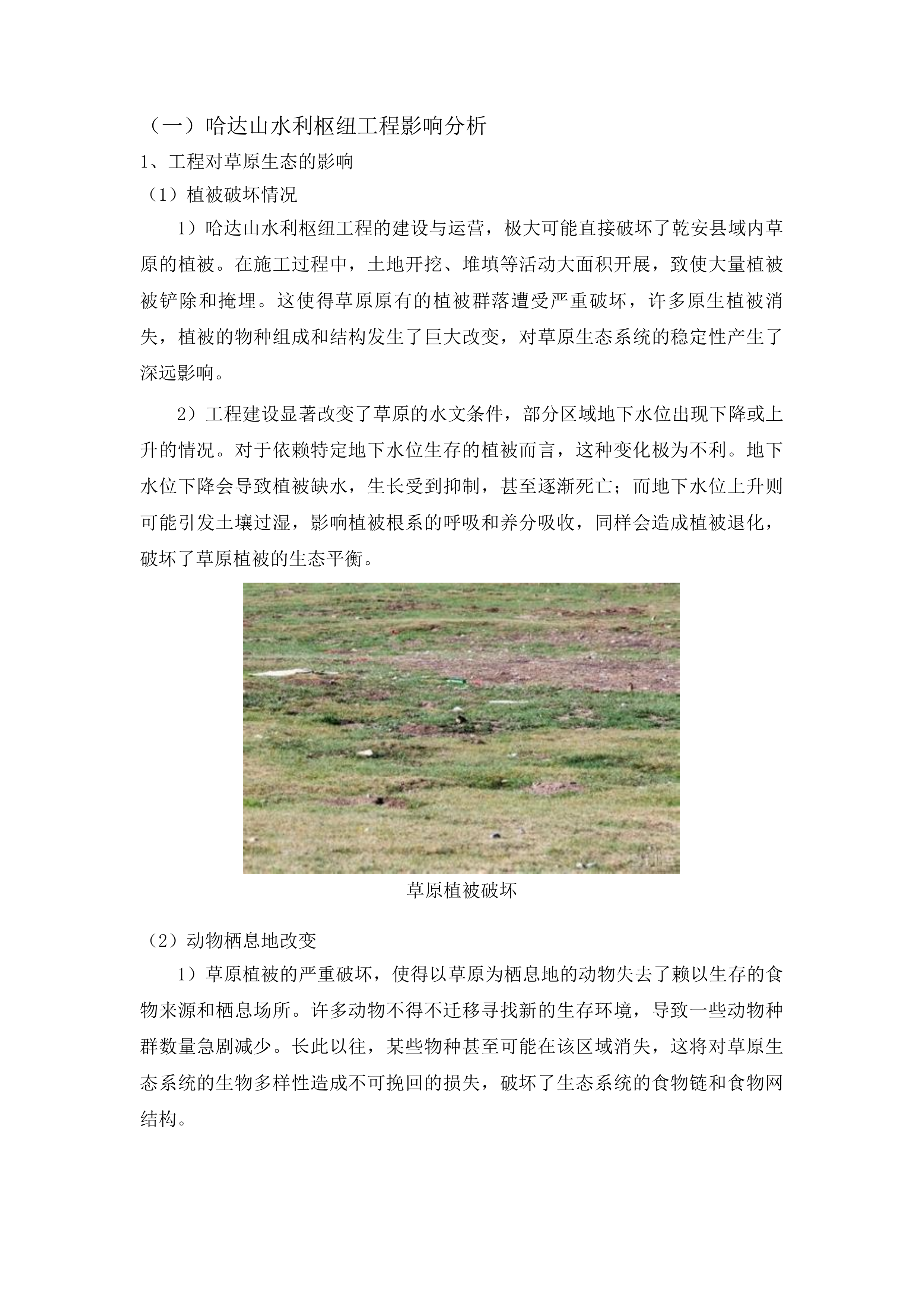 吉林省哈达山水利枢纽工程等工程项目占用乾安县域内草原恢复草原植被项目投标方案.docx 第6页