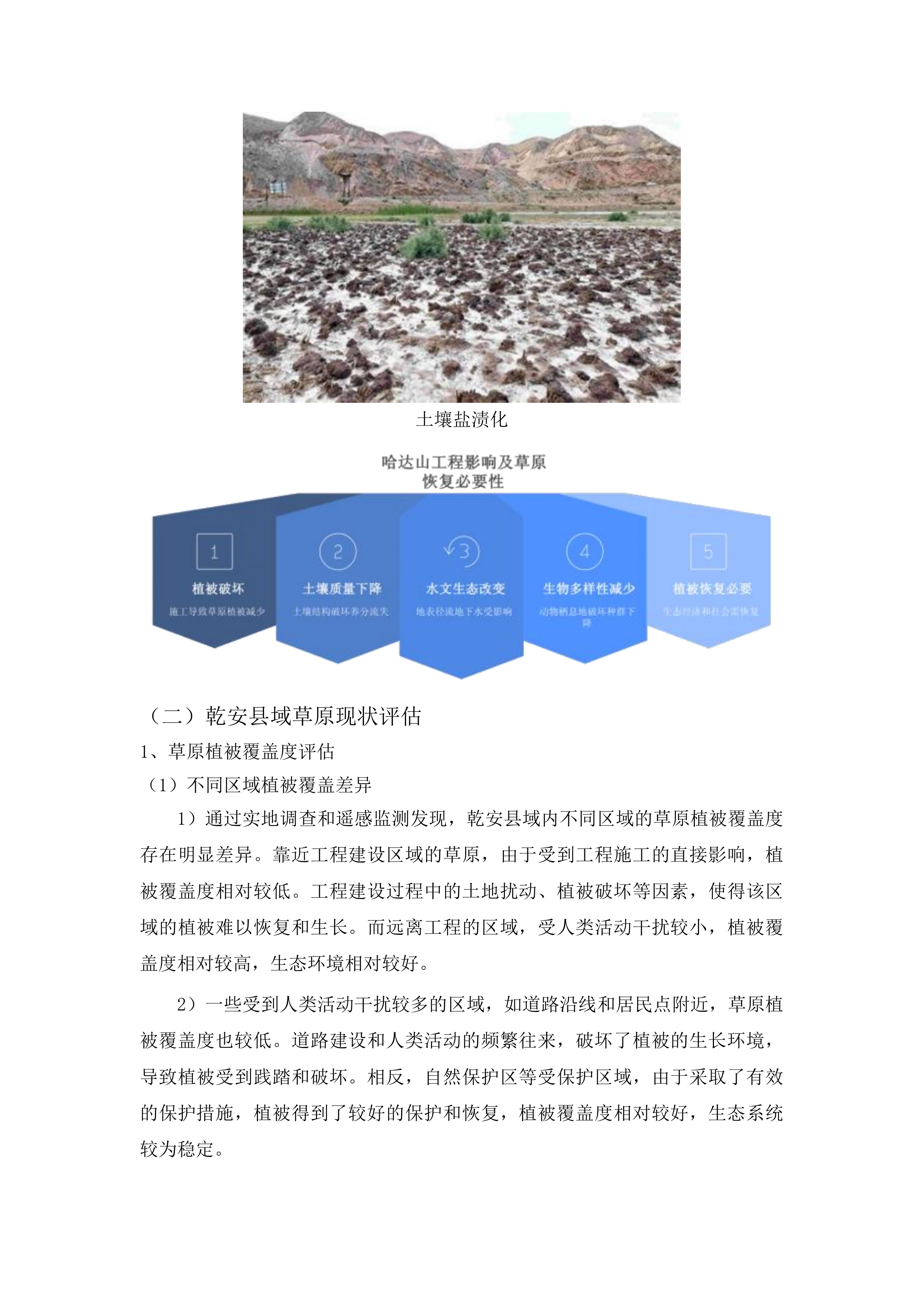 吉林省哈达山水利枢纽工程等工程项目占用乾安县域内草原恢复草原植被项目投标方案.docx 第9页