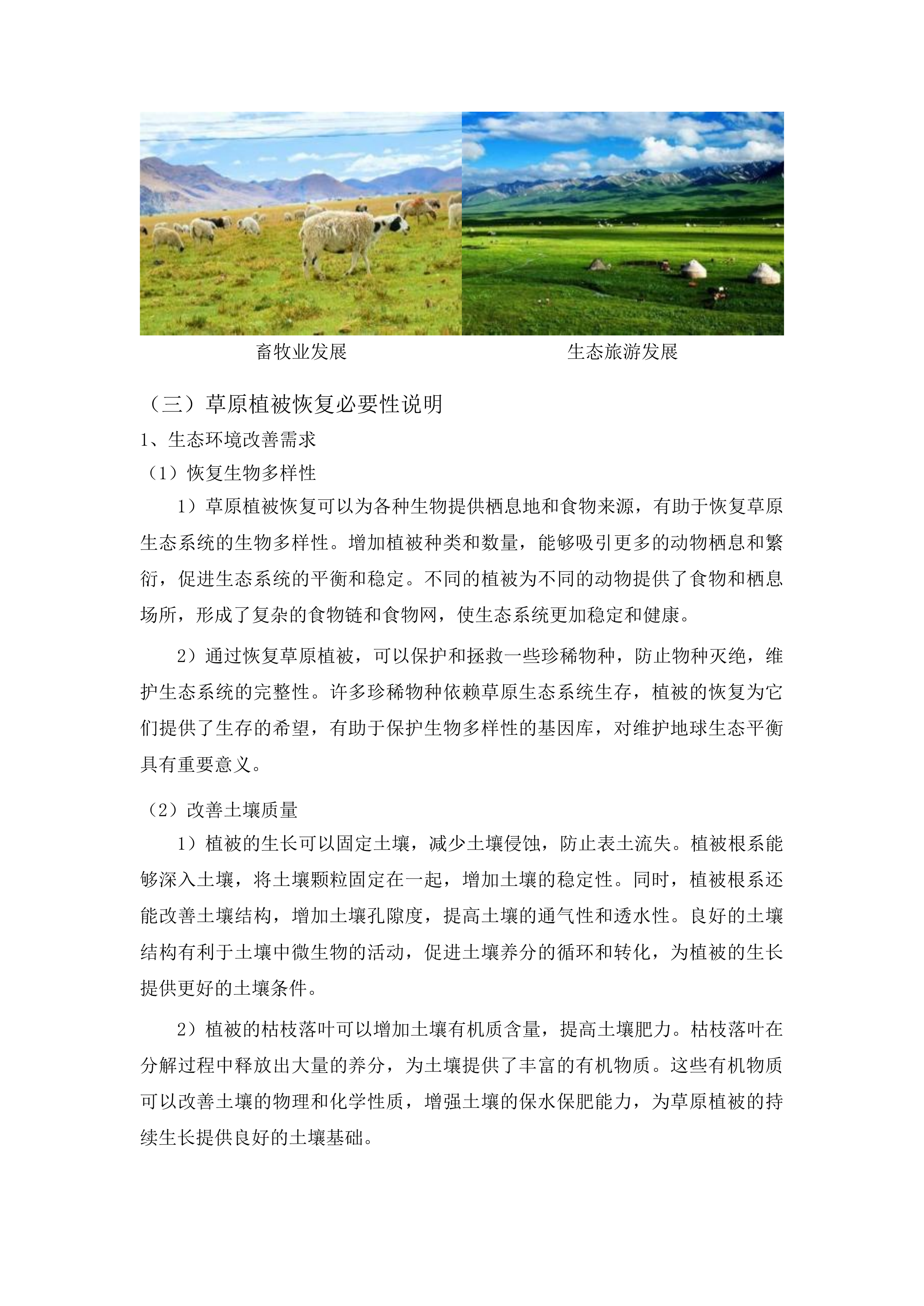 吉林省哈达山水利枢纽工程等工程项目占用乾安县域内草原恢复草原植被项目投标方案.docx 第12页