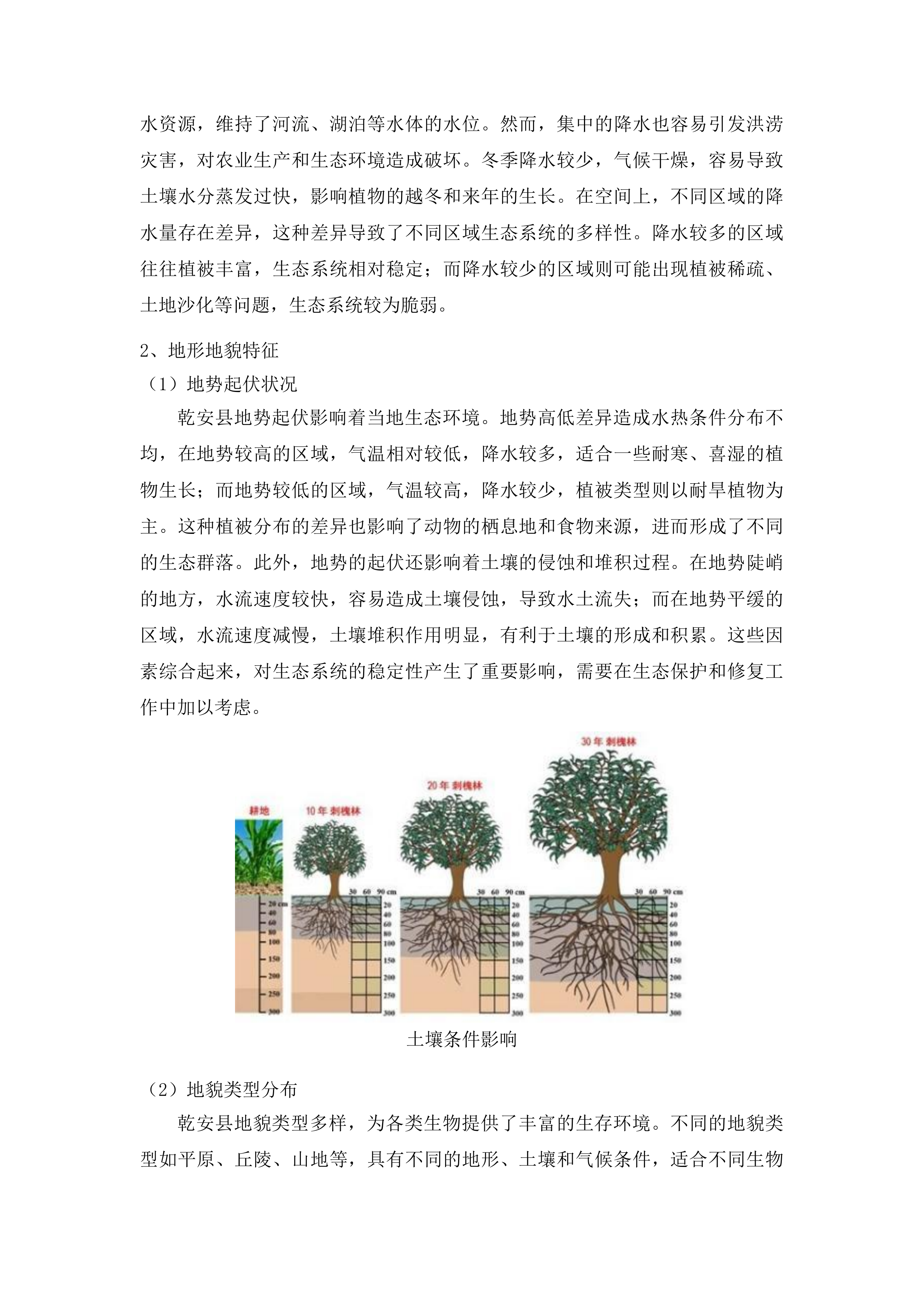 吉林省松原市中央财政三北工程林草湿荒一体化保护修复中幼龄林抚育项目投标方案.docx 第7页