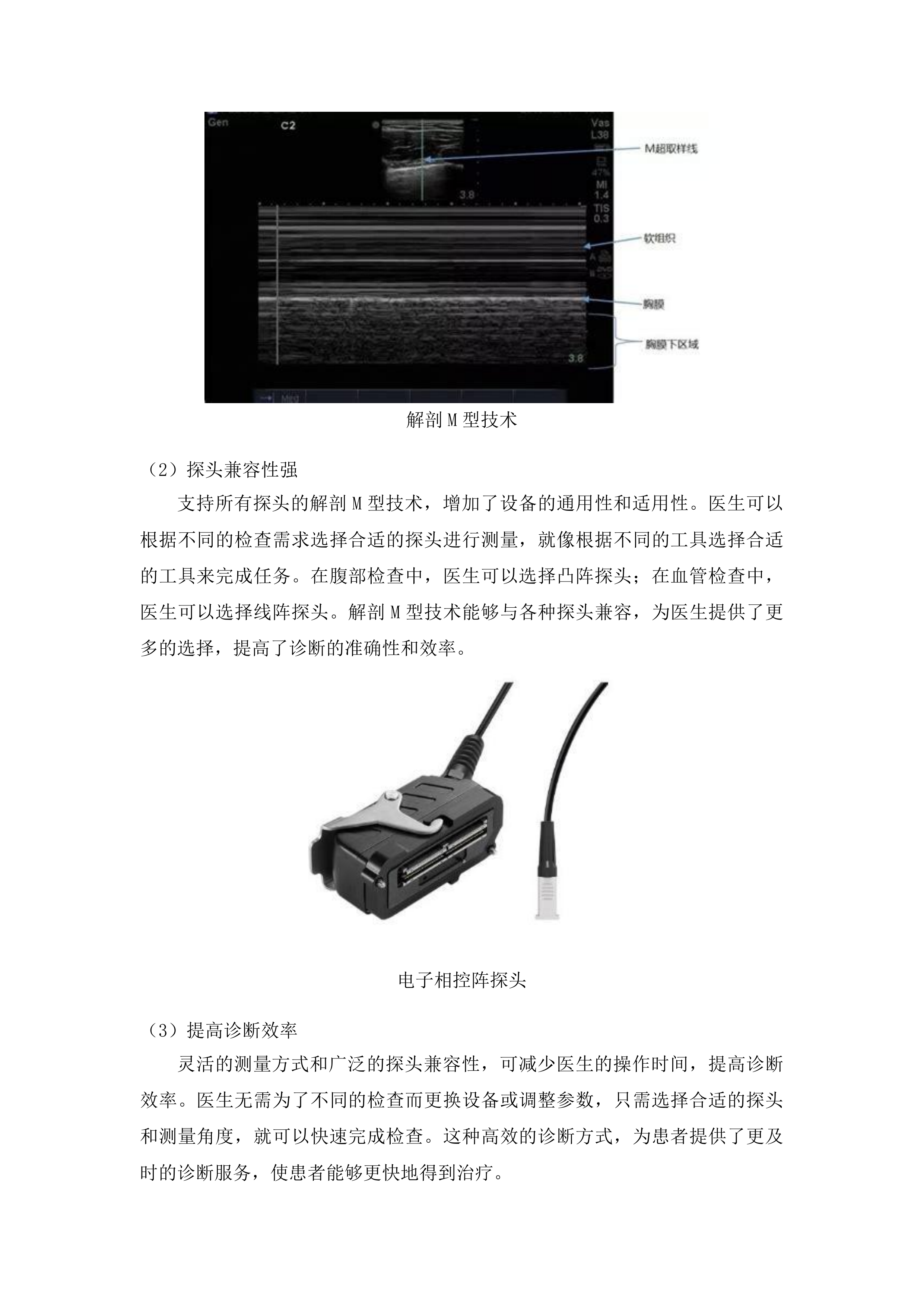 安图县人民医院彩色多普勒超声诊断仪采购项目投标方案.docx 第13页