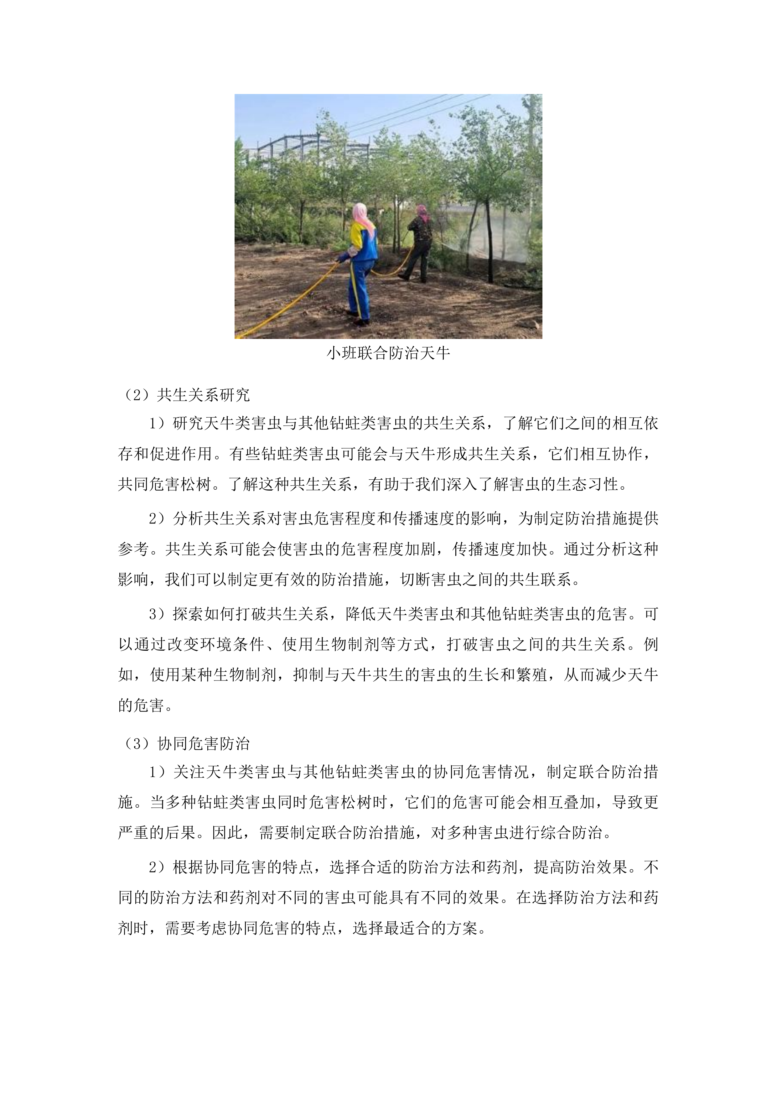 2025-2026年松树钻蛀类害虫系统调查服务投标方案.docx 第13页