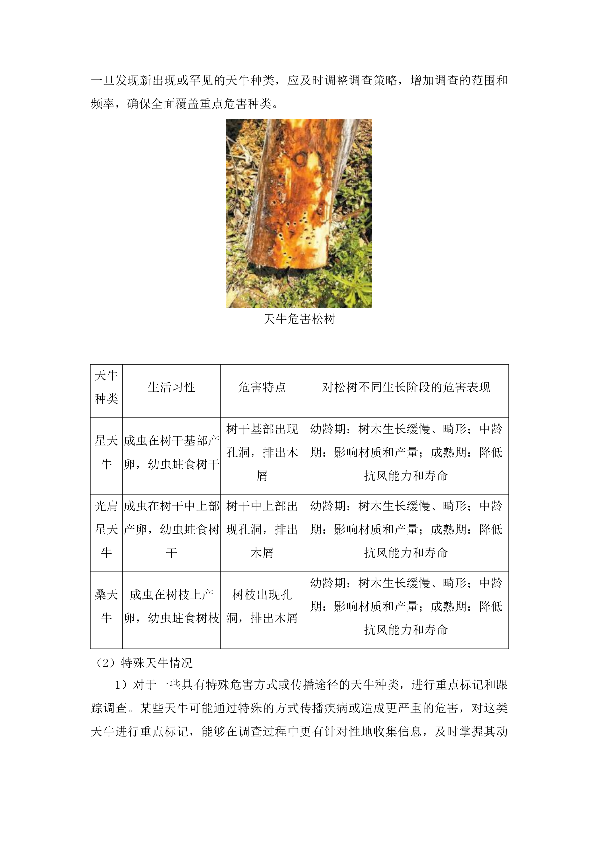 2025-2026年松树钻蛀类害虫系统调查服务投标方案.docx 第8页