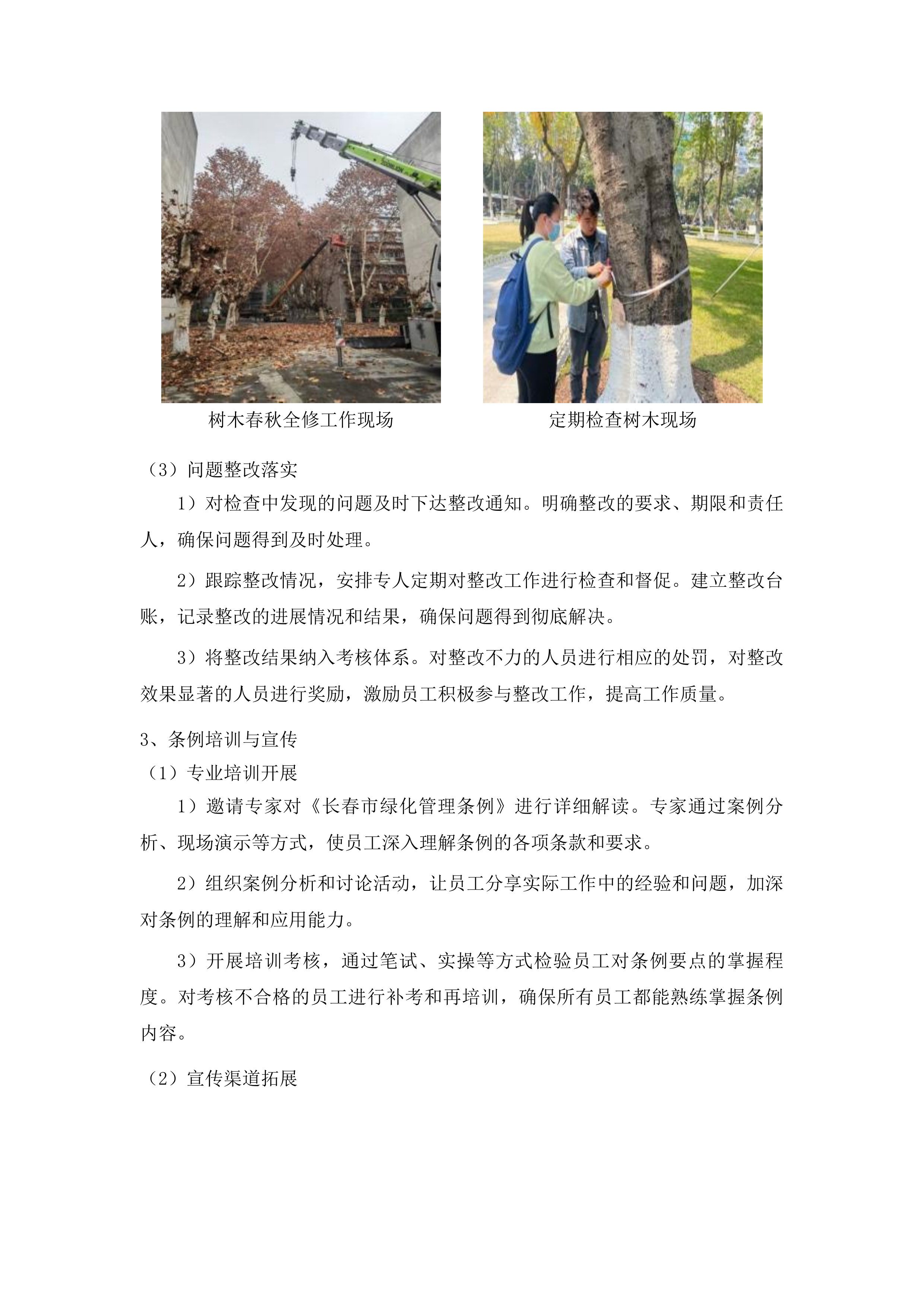 朝阳区大树修剪项目投标方案.docx 第8页