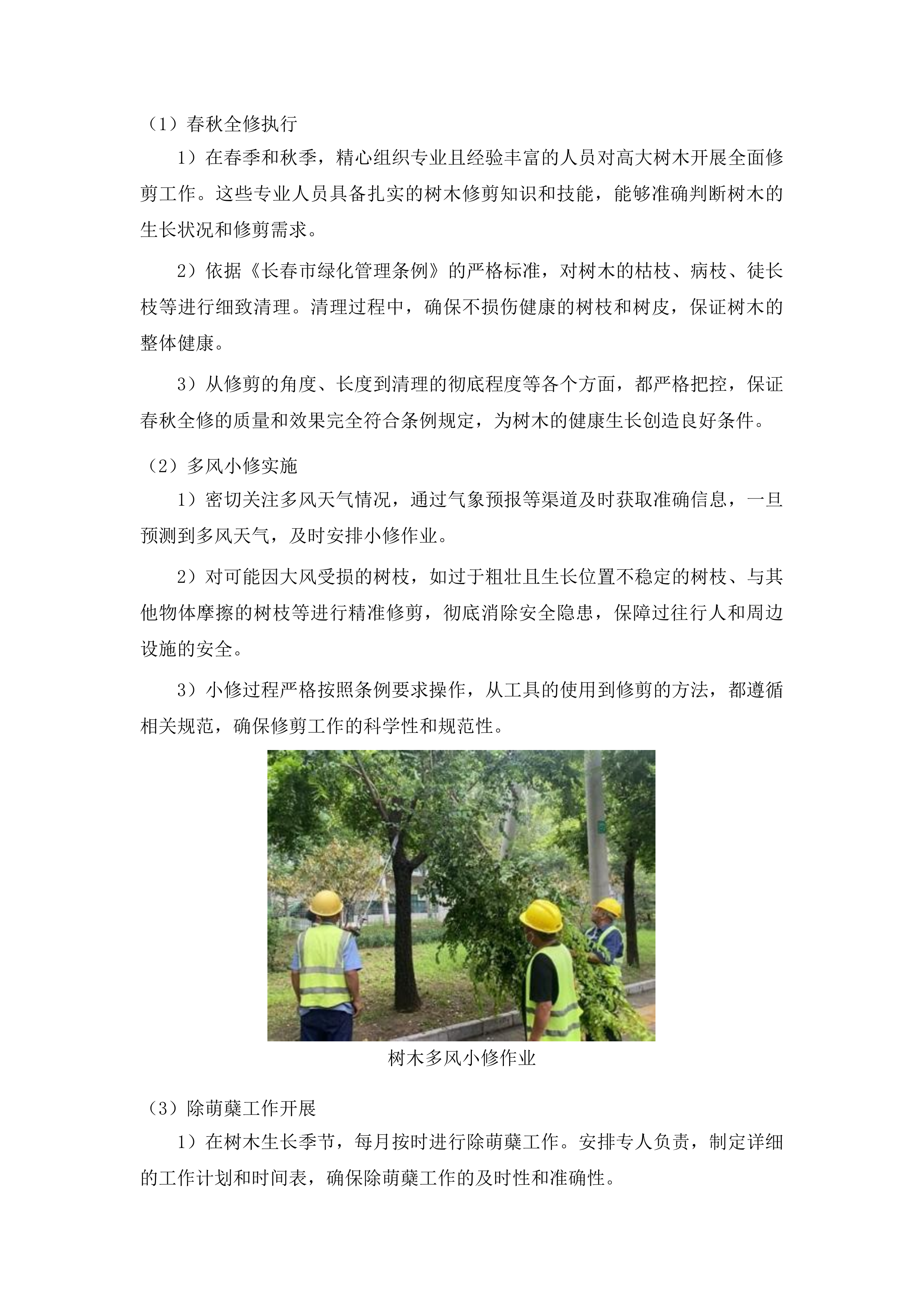 朝阳区大树修剪项目投标方案.docx 第6页