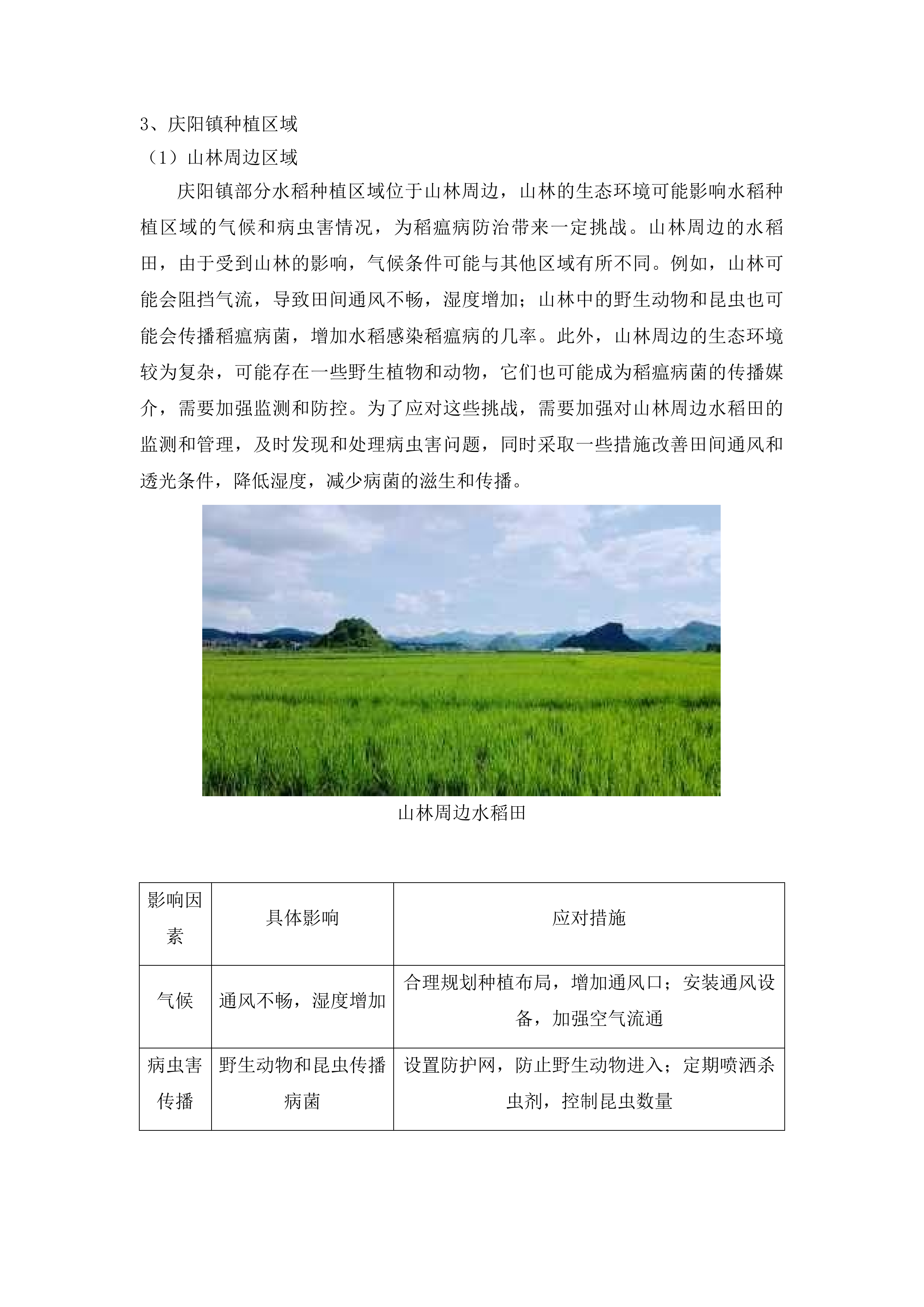 2025年辉南县农作物重大病虫害防控项目投标方案.docx 第9页