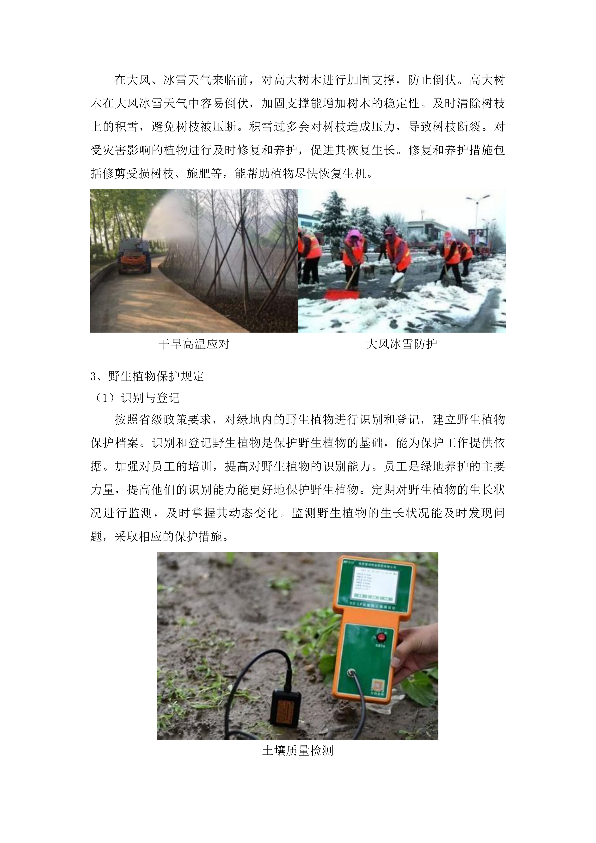 2025年长春市朝阳区园林管理中心绿化养护服务项目投标方案.docx 第13页