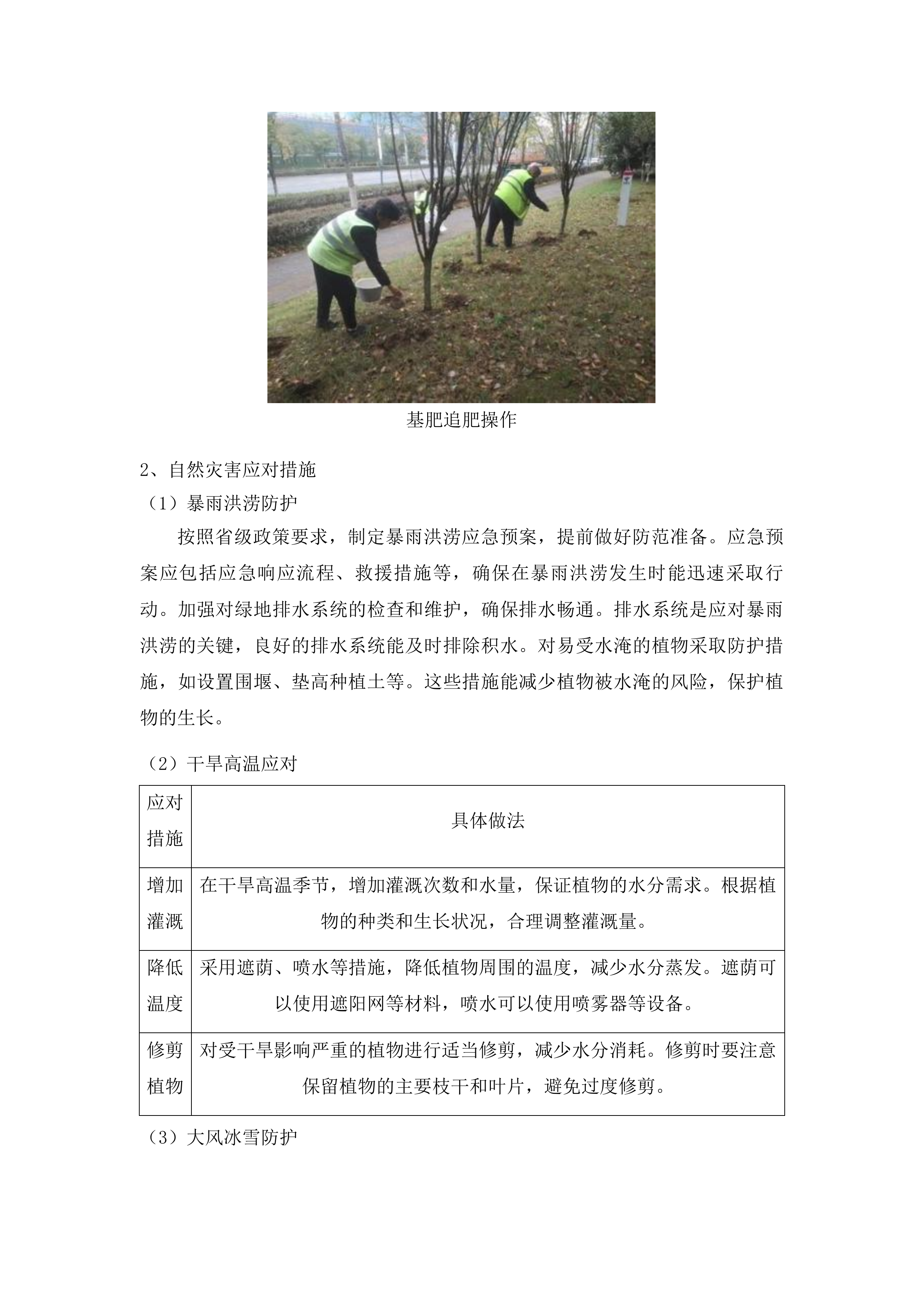 2025年长春市朝阳区园林管理中心绿化养护服务项目投标方案.docx 第12页