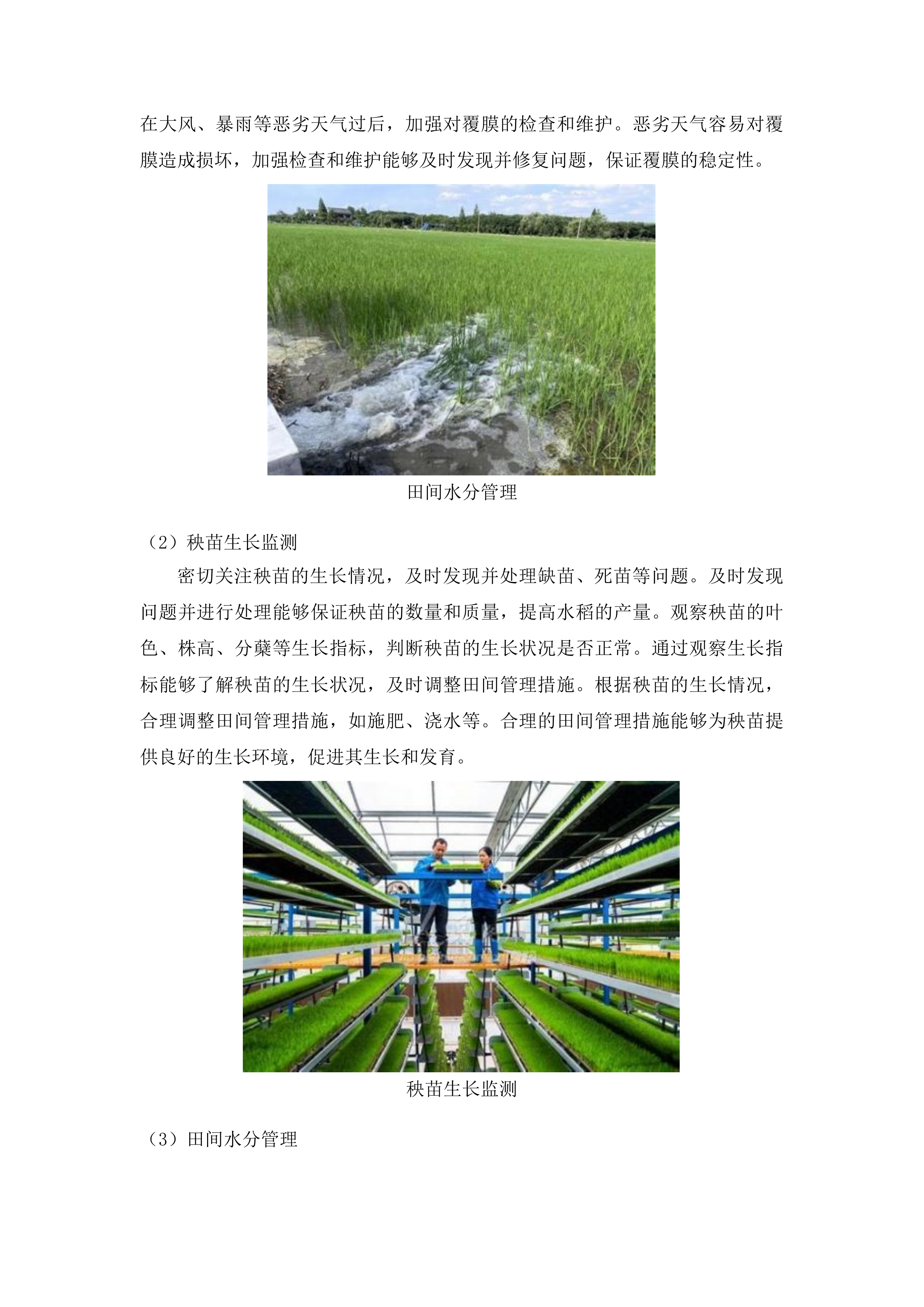 吉林省农业技术推广总站水稻生产及安全用药宣传视频拍摄与制作投标方案.docx 第10页