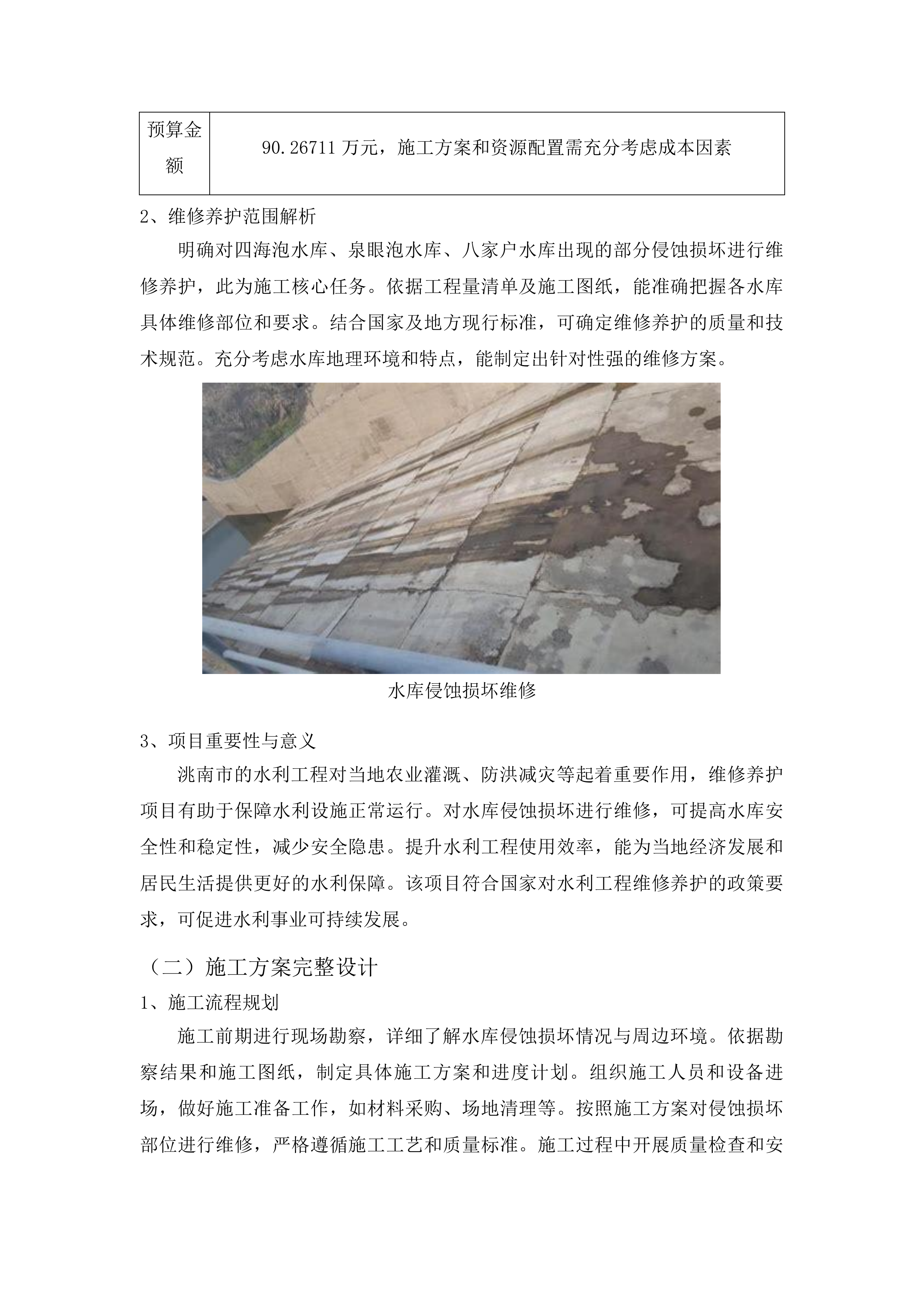 洮南市2025年水利工程维修养护中央水利发展补助资金项目投标方案.docx 第11页