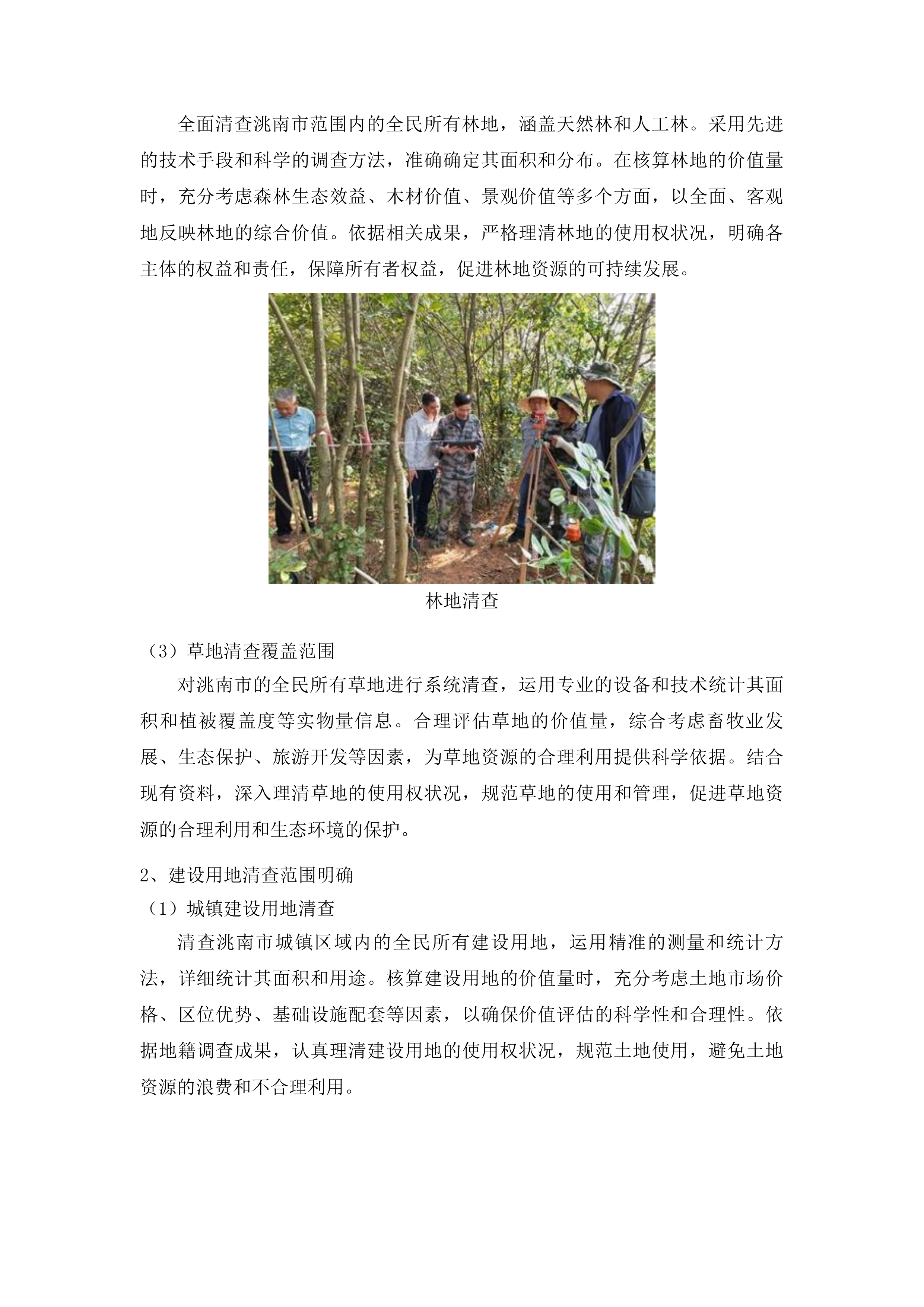 洮南市全民所有自然资源资产清查项目投标方案.docx 第9页