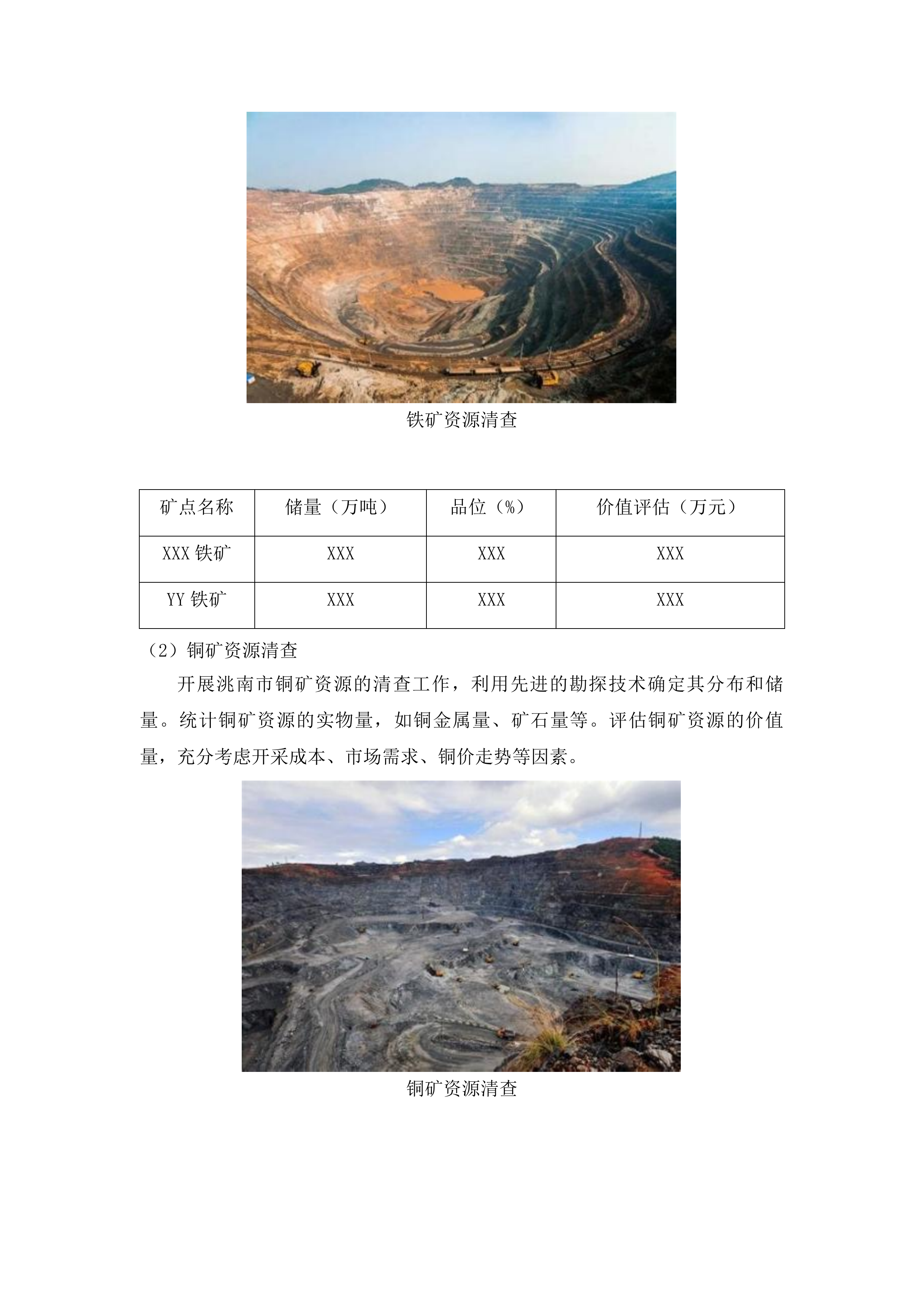 洮南市全民所有自然资源资产清查项目投标方案.docx 第12页