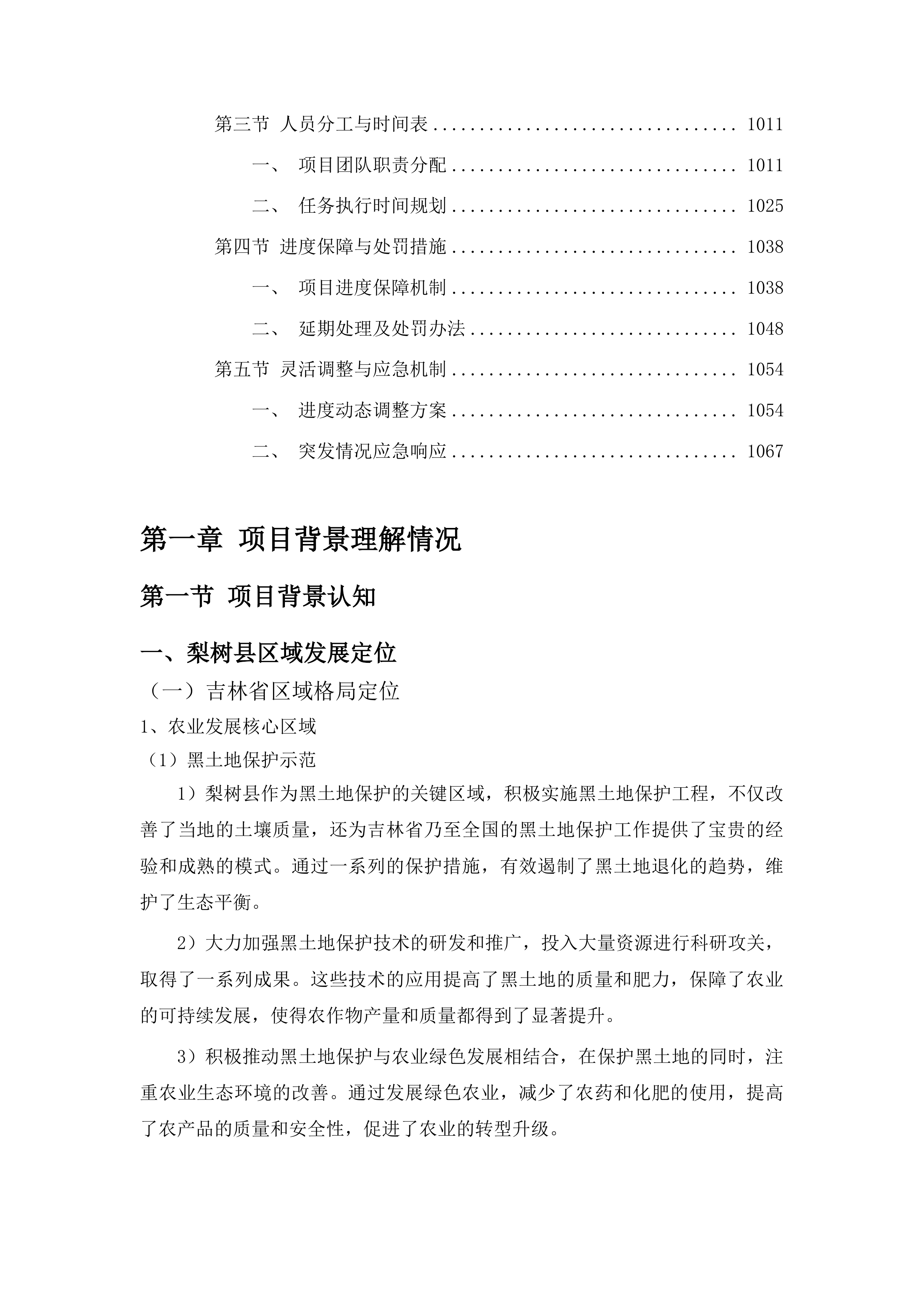 梨树县国民经济和社会发展“十五五”规划编制项目投标方案.docx 第5页