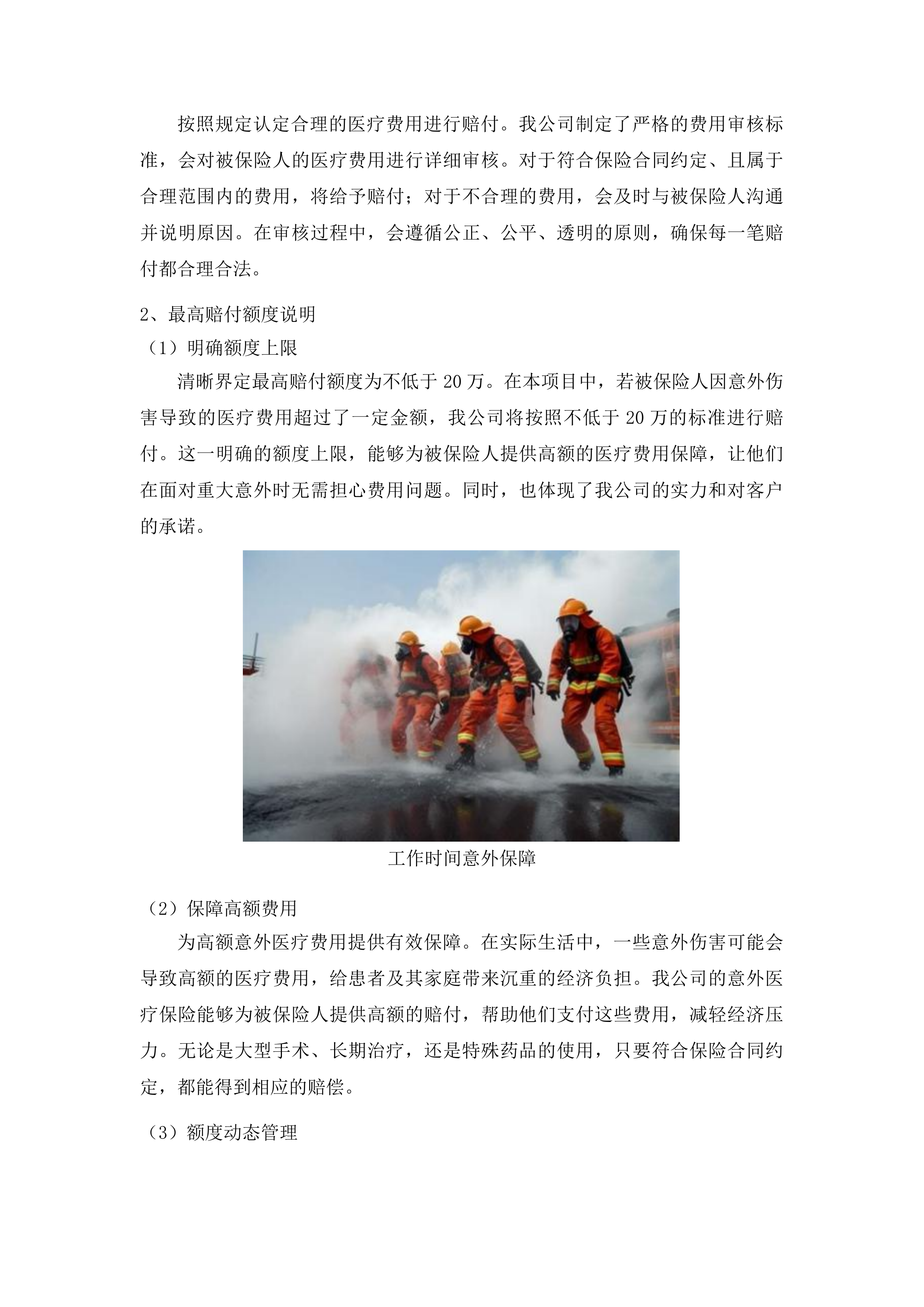松原市消防救援支队2025年人身意外险项目投标方案.docx 第9页