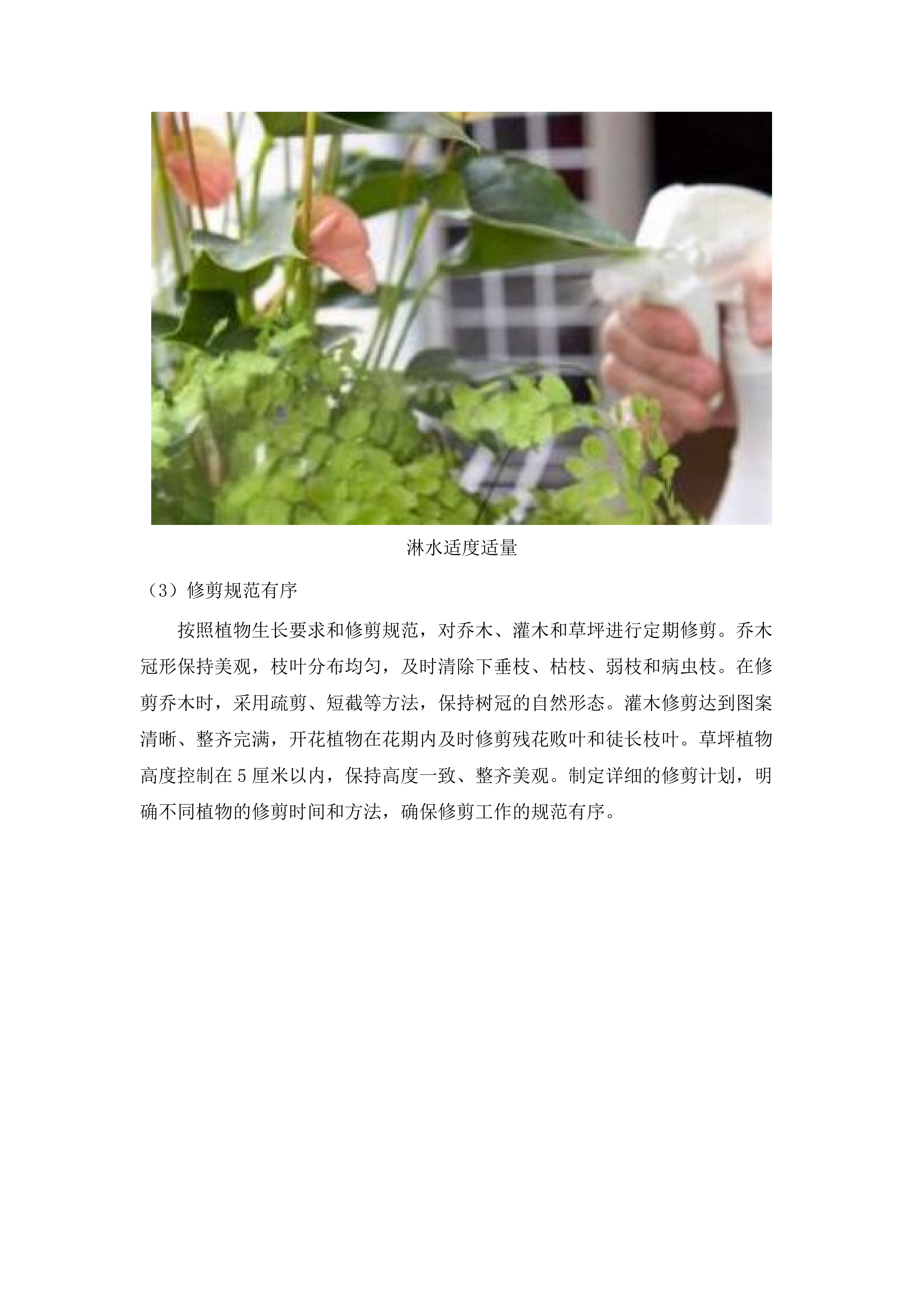 肇庆市第一人民医院绿化养护管理服务及有害生物预防控制服务采购项目(二次).docx 第9页