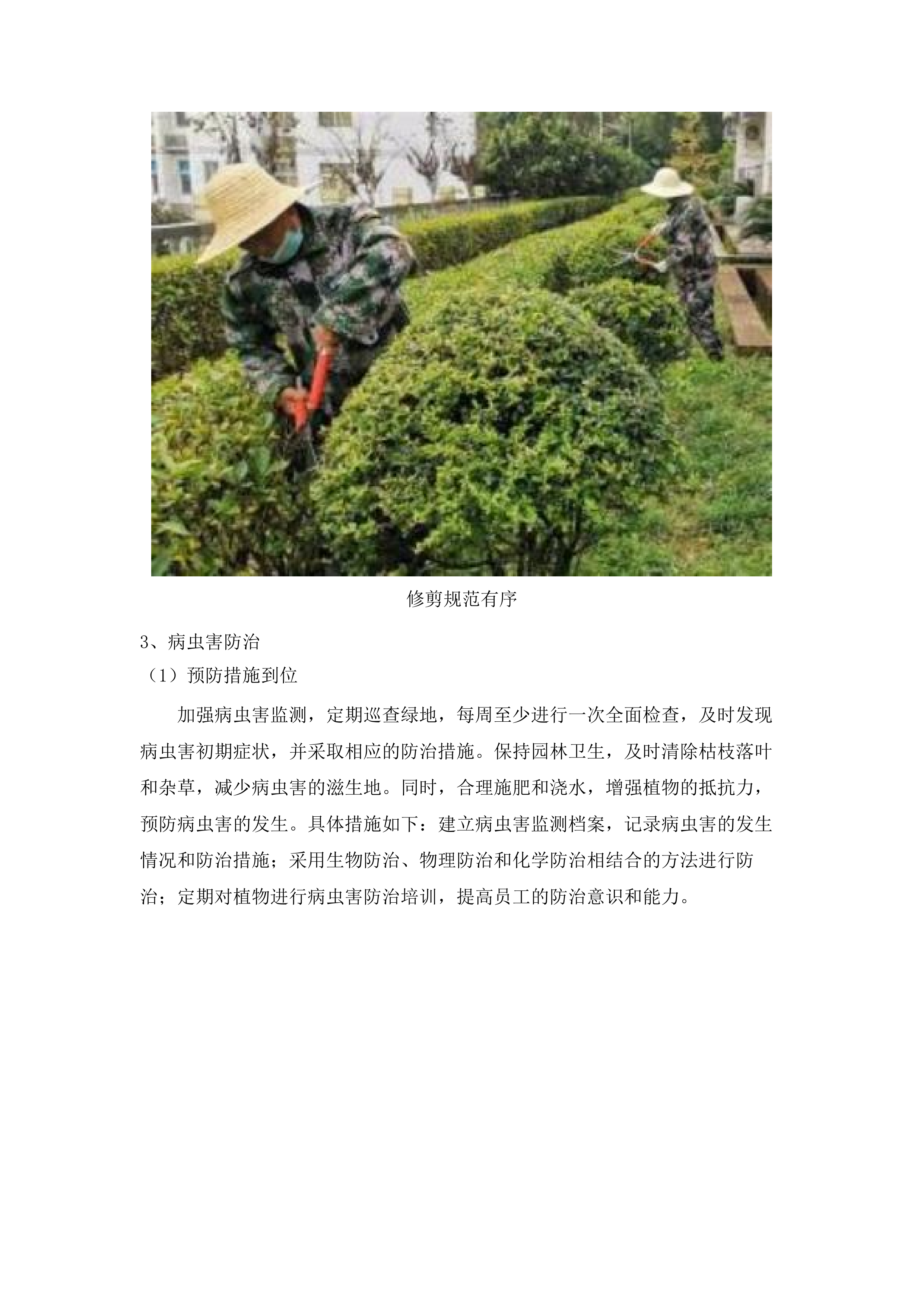 肇庆市第一人民医院绿化养护管理服务及有害生物预防控制服务采购项目(二次).docx 第10页
