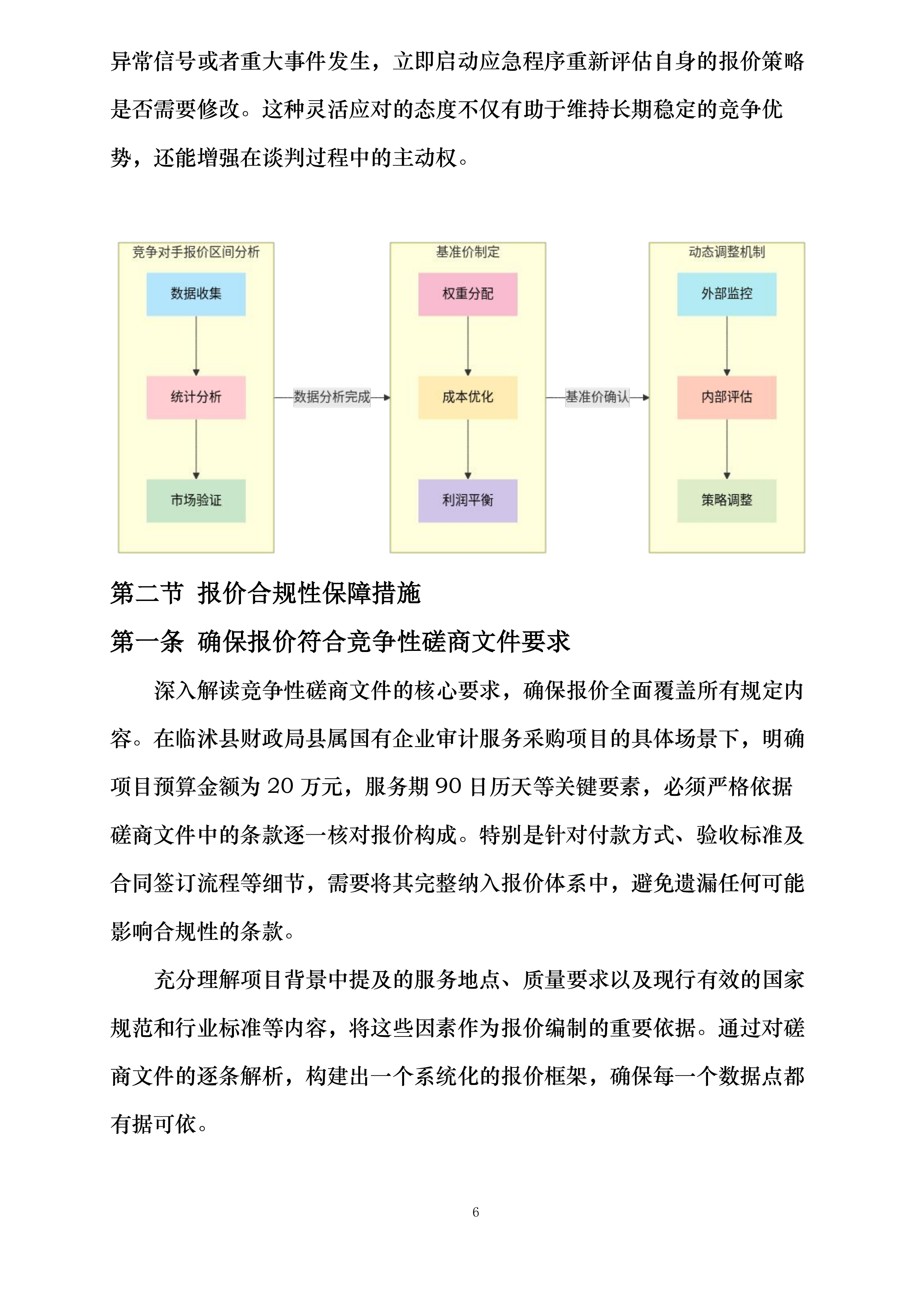 临沭县财政局县属国有企业审计服务采购项目第二标段投标方案.docx 第13页