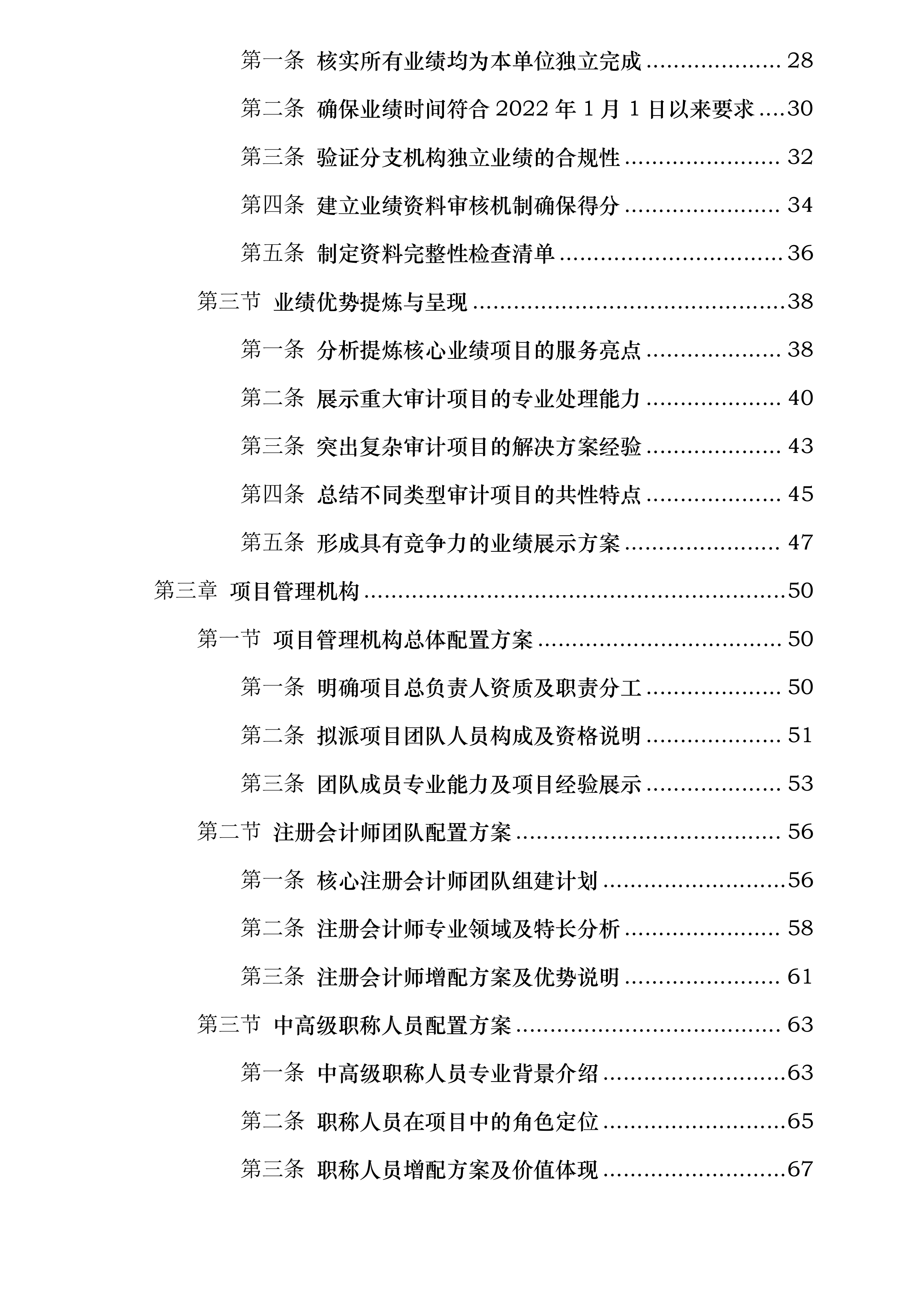 临沭县财政局县属国有企业审计服务采购项目第二标段投标方案.docx 第2页