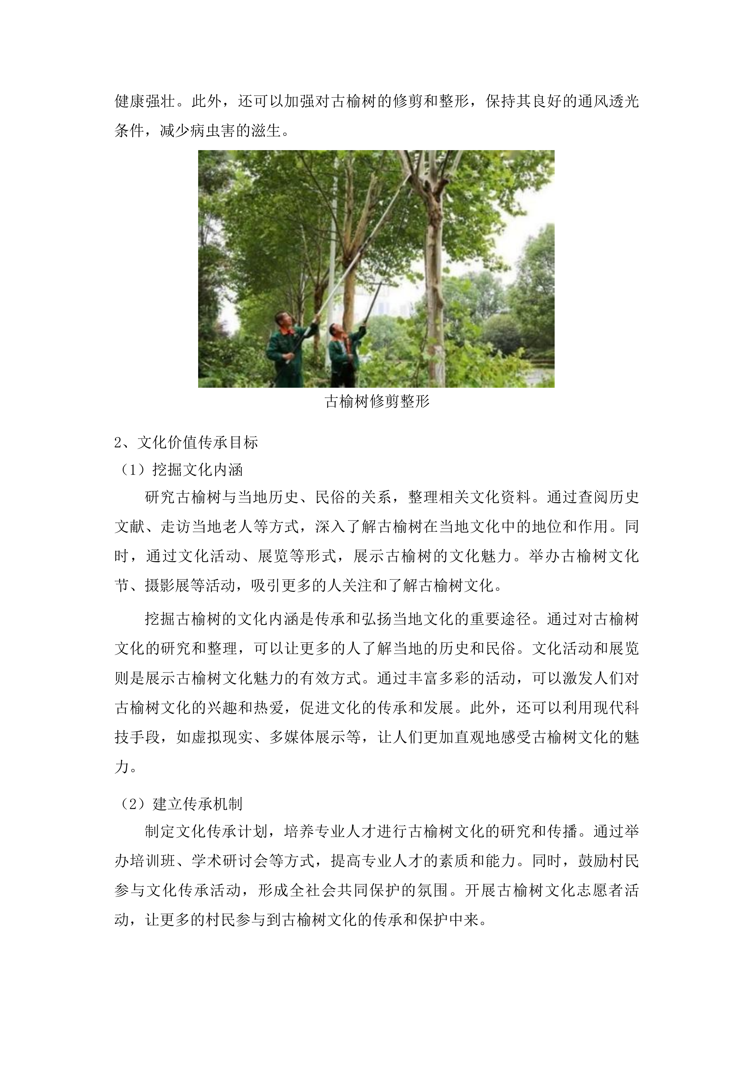 乾安县赞字乡墨字村古榆树保护项目投标方案.docx 第10页