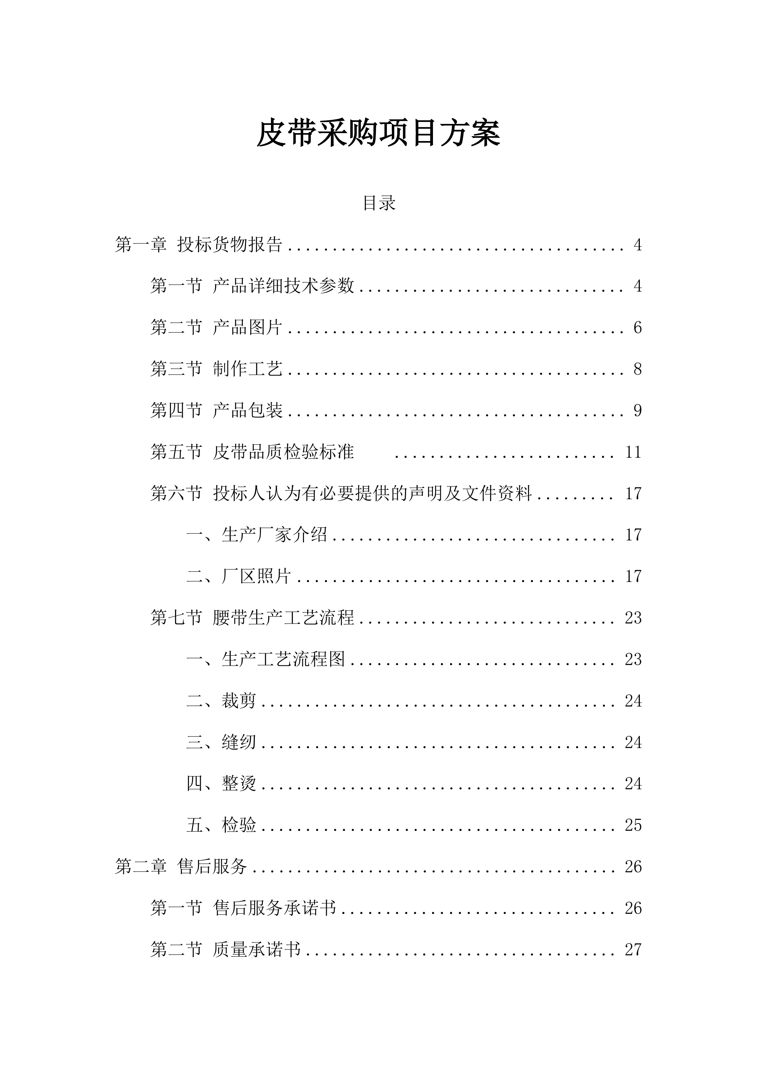皮带采购项目方案（93页）.docx 第1页