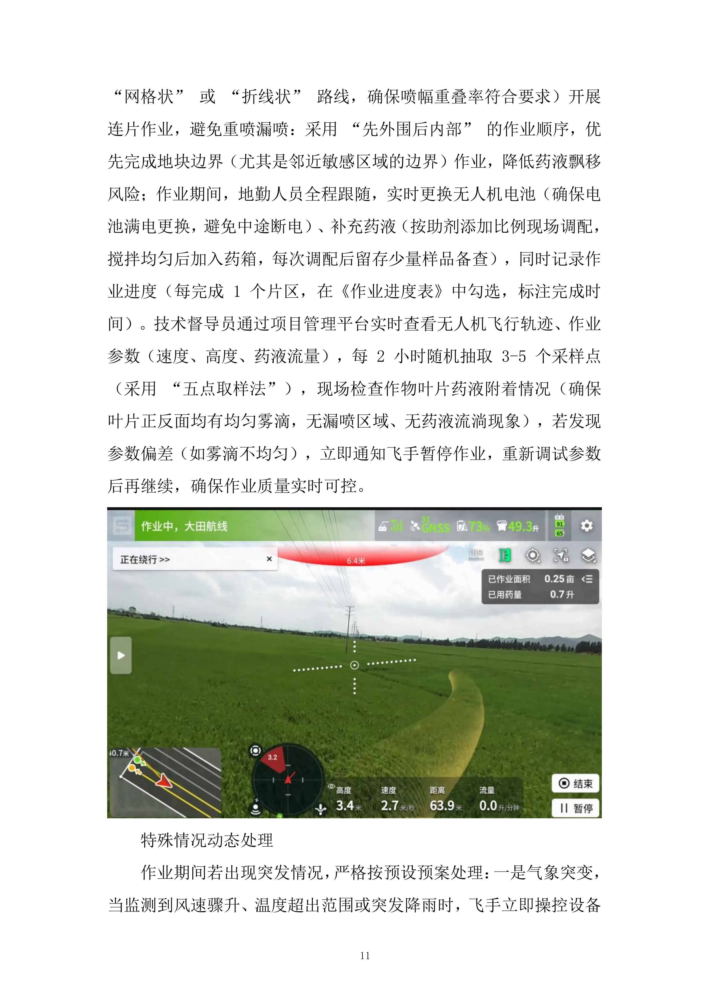 年秋粮作物&ldquo;一喷多促&rdquo;项目飞防服务组织投标方案.docx 第11页