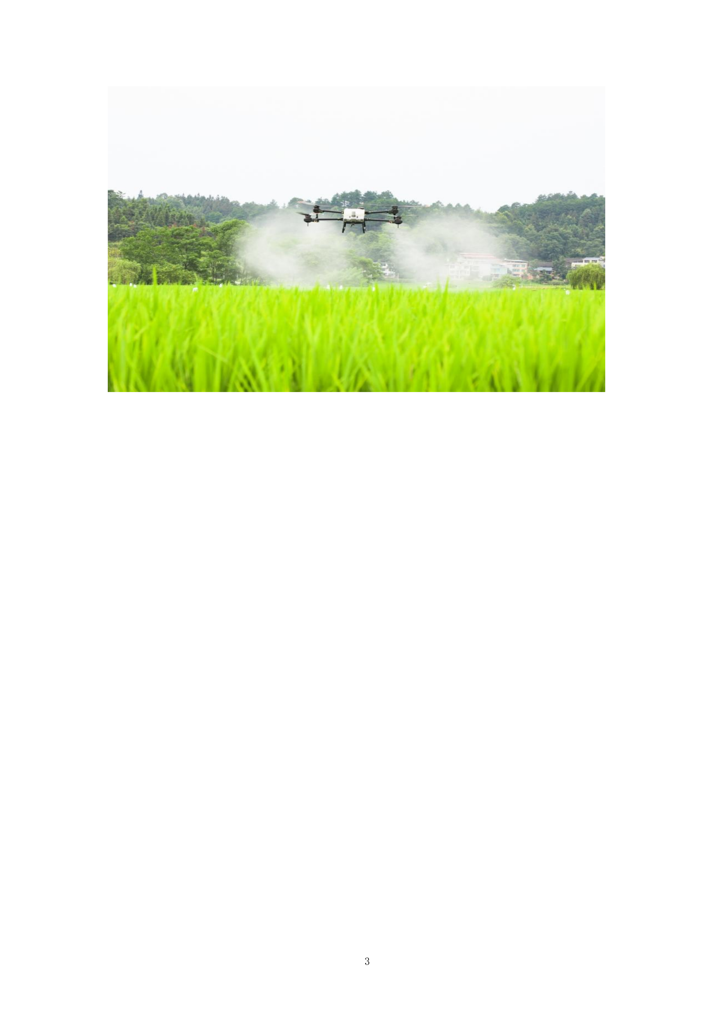 年秋粮作物&ldquo;一喷多促&rdquo;项目飞防服务组织投标方案.docx 第3页