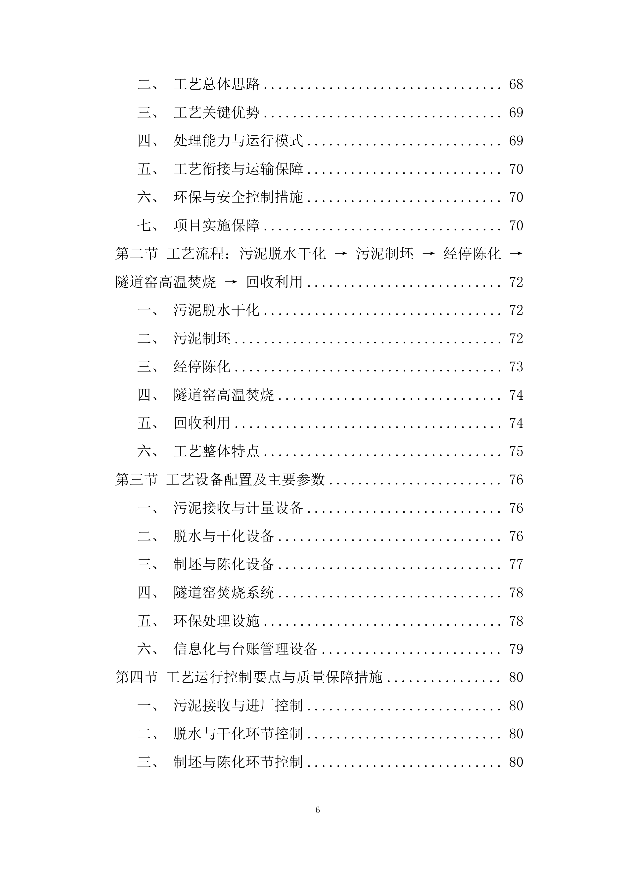 市政生活污泥处理投标方案.docx 第6页