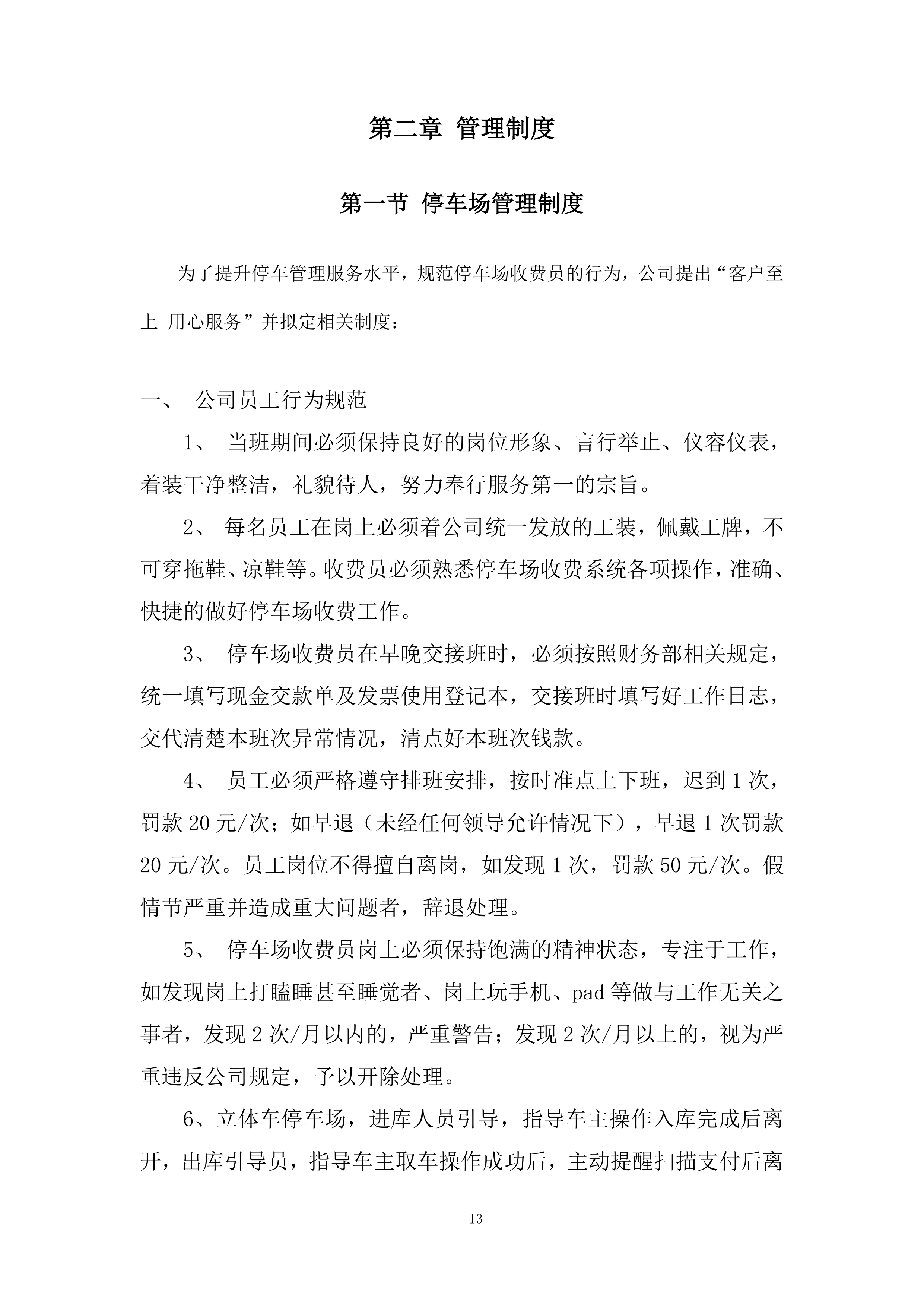 路内泊位委托运营管理项目投标方案.docx 第13页