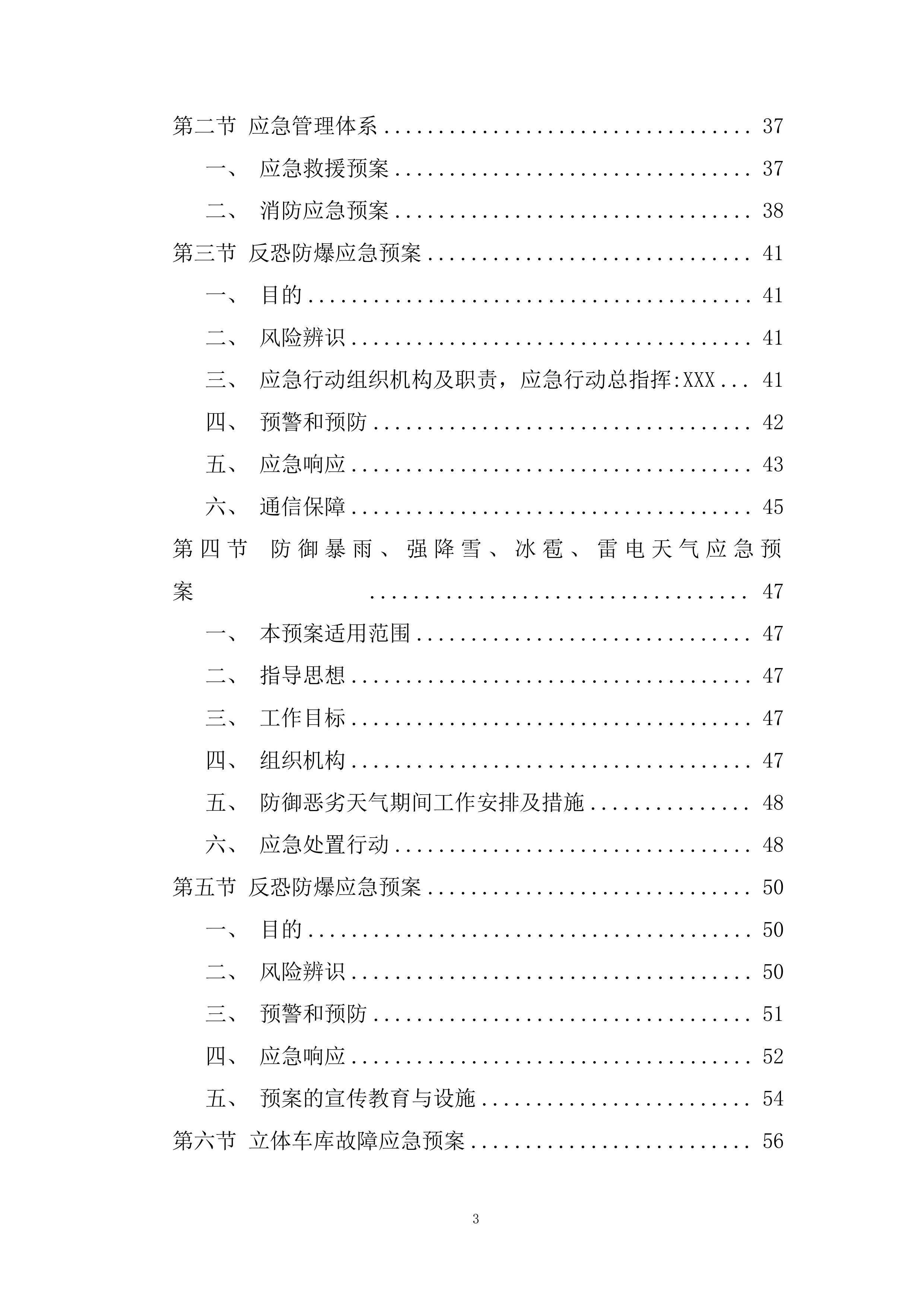 路内泊位委托运营管理项目投标方案.docx 第3页