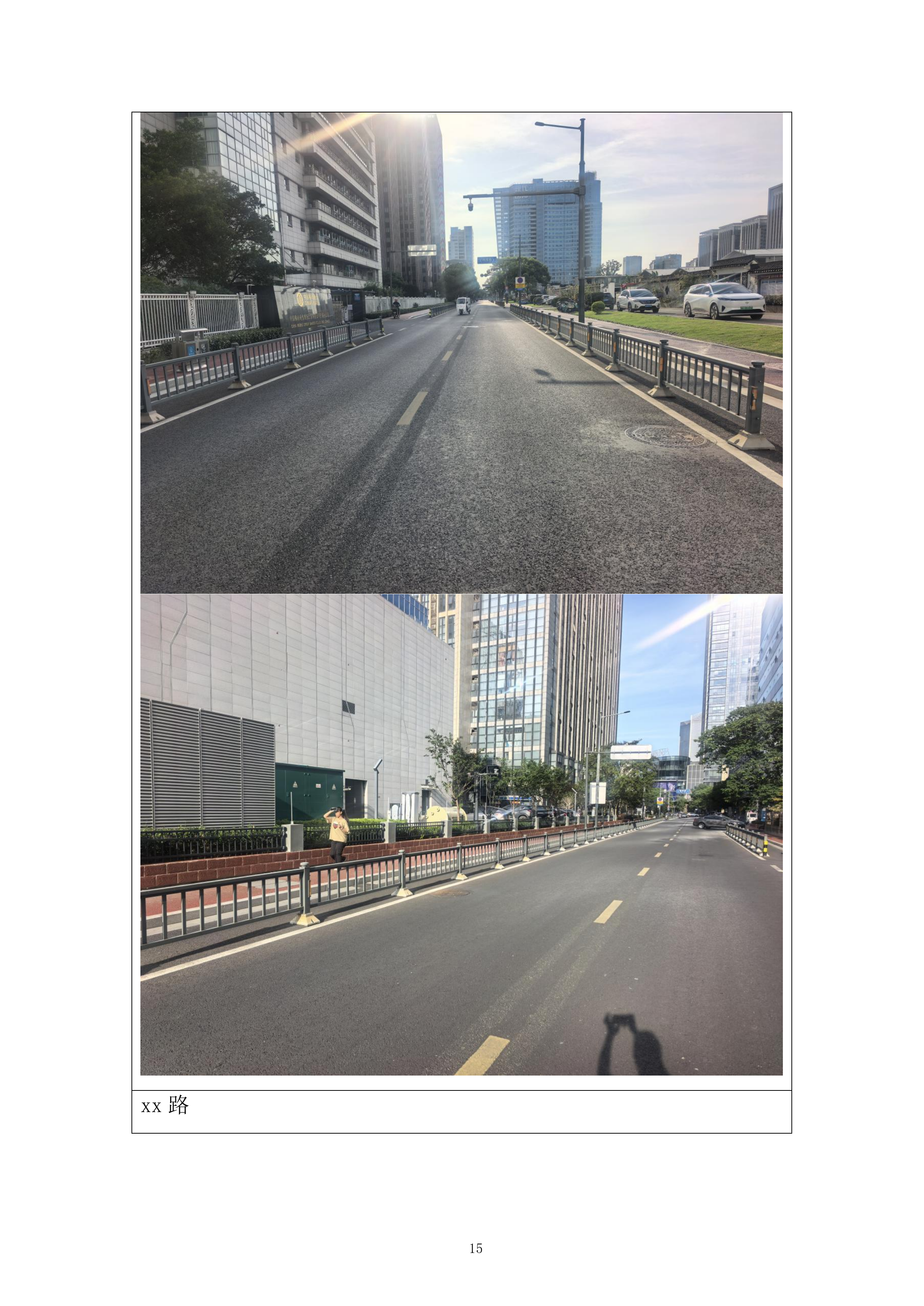 交通设施养护服务项目投标方案.docx 第15页