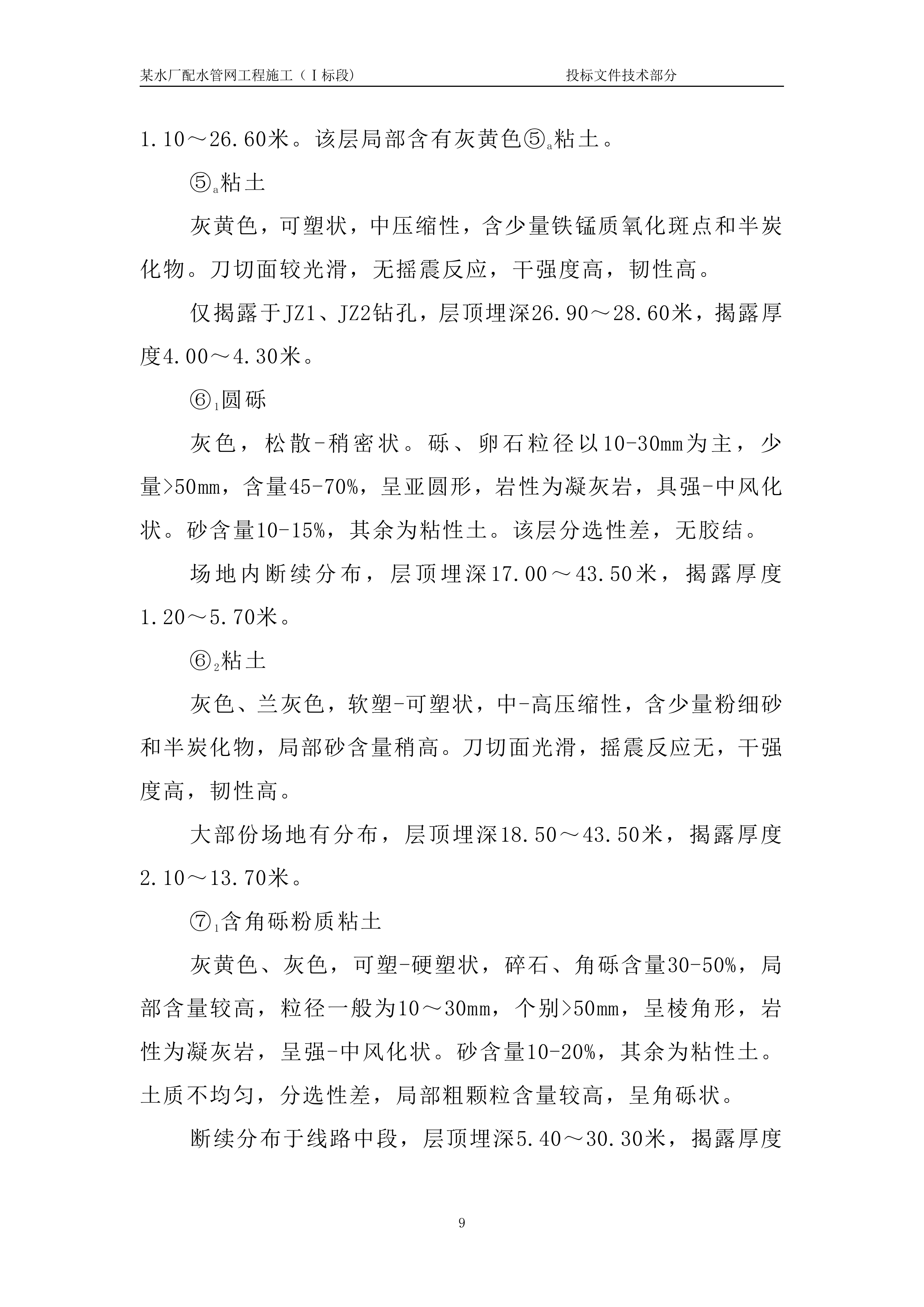 某水厂配水管网工程一标技术标.doc 第12页