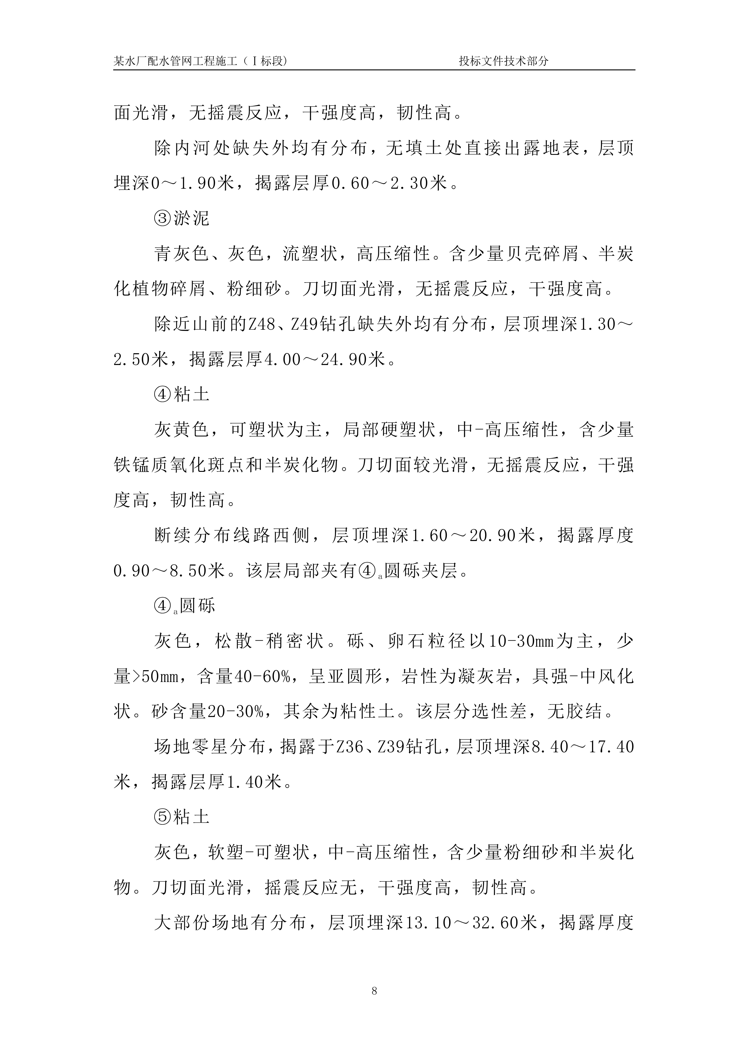 某水厂配水管网工程一标技术标.doc 第11页