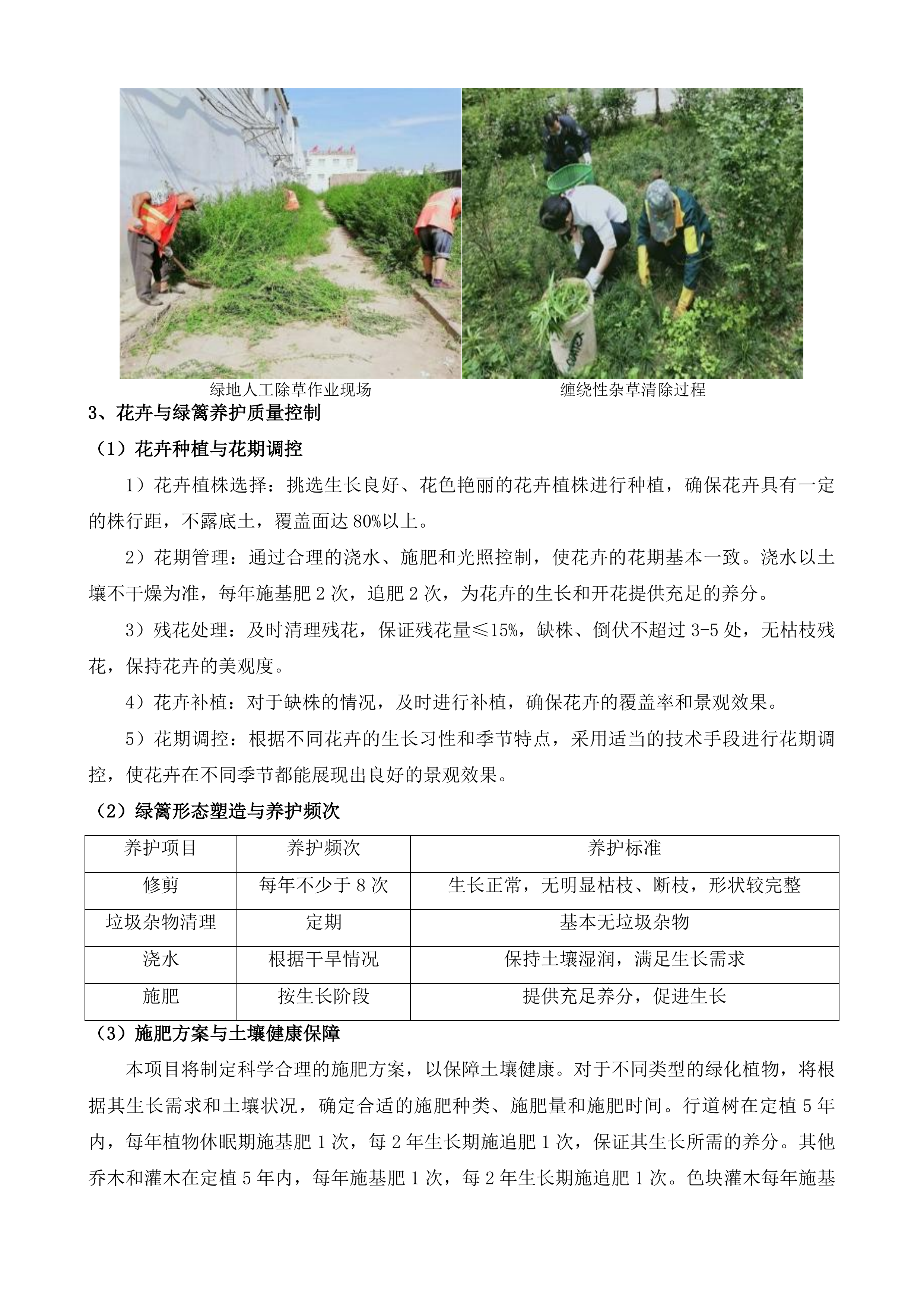 惠山区S340锡西大道-常州界绿化养护项目投标方案.docx 第7页