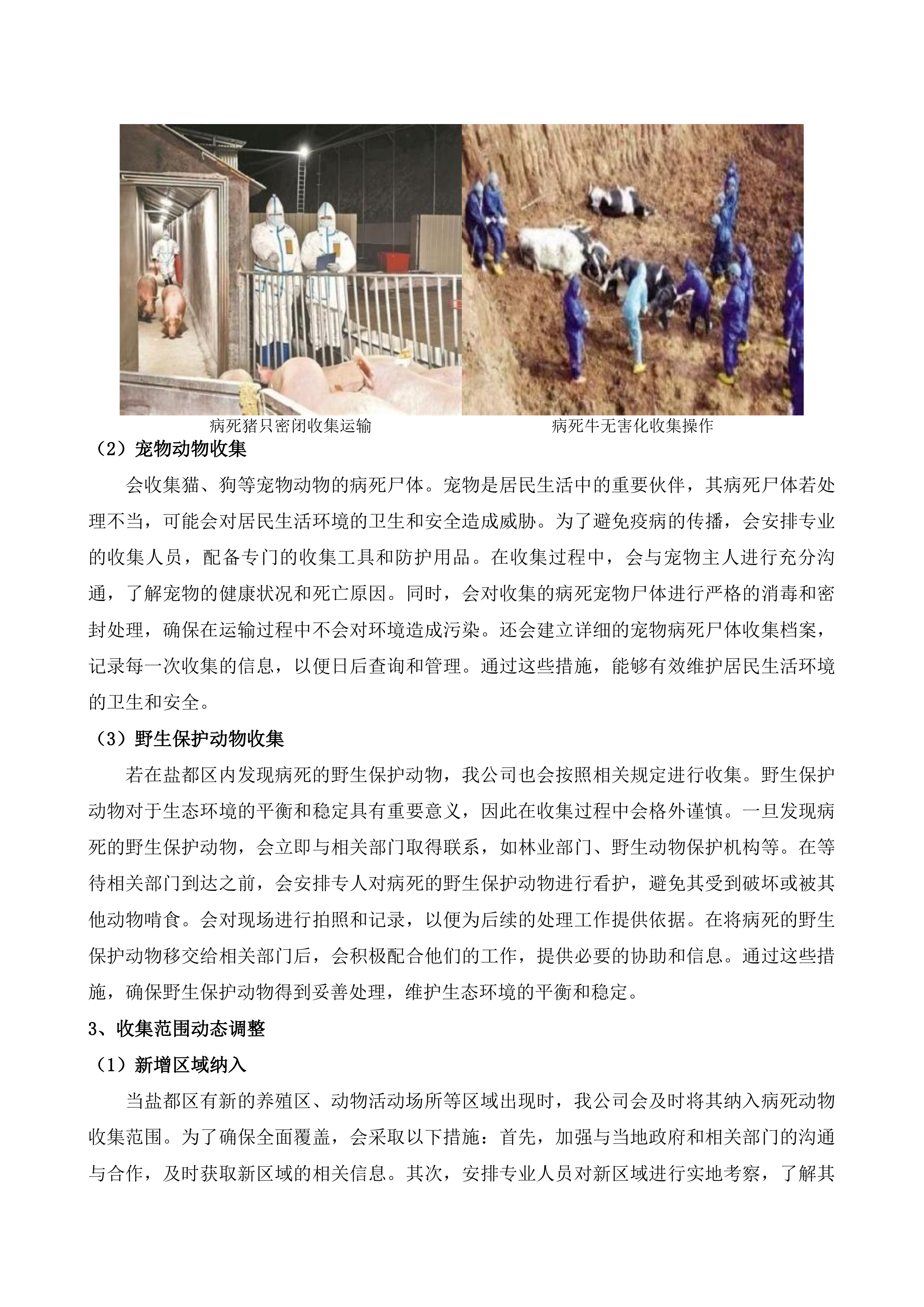 盐都区无害化收集处理病死动物项目投标方案.docx 第6页