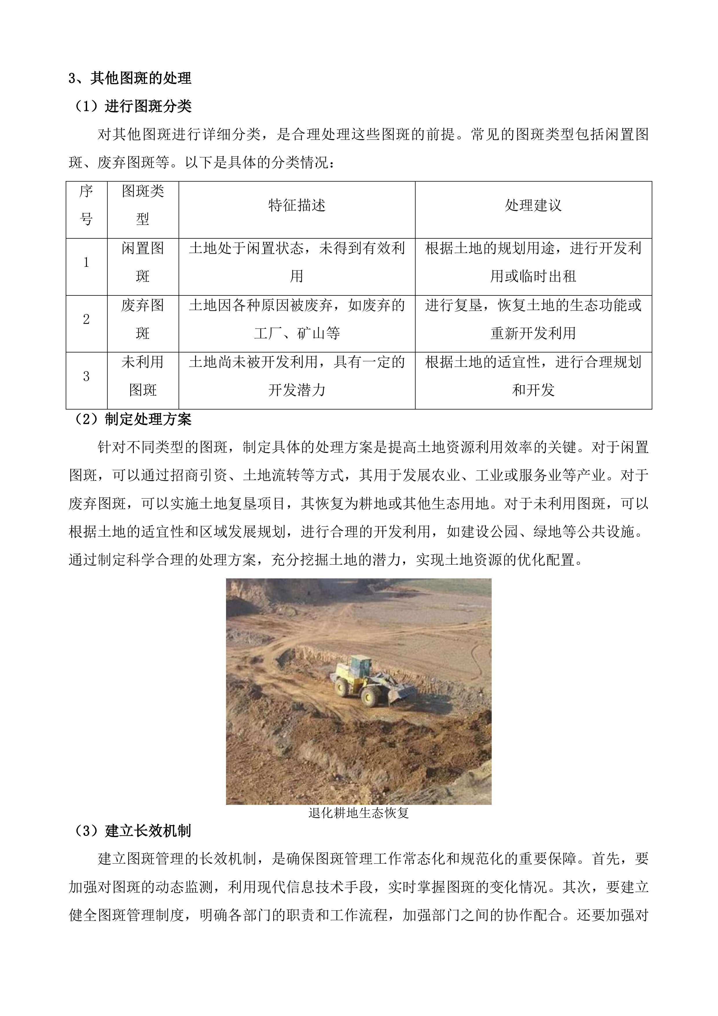 贵州百里杜鹃管理区2025年日常变更及2025年度国土变更调查技术服务项目投标方案.docx 第12页