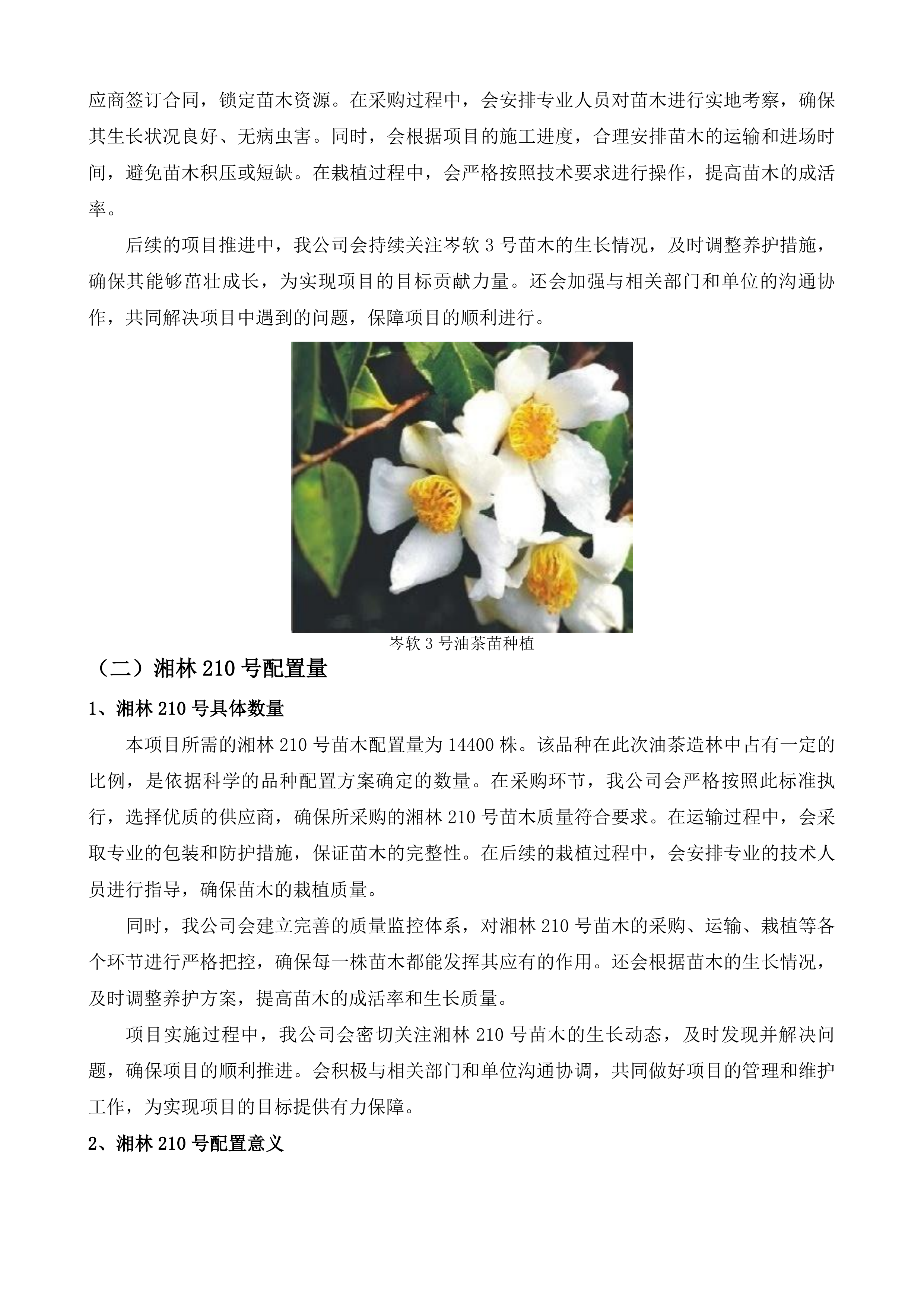 佛冈县2025年油茶新造和低改项目投标方案.docx 第13页